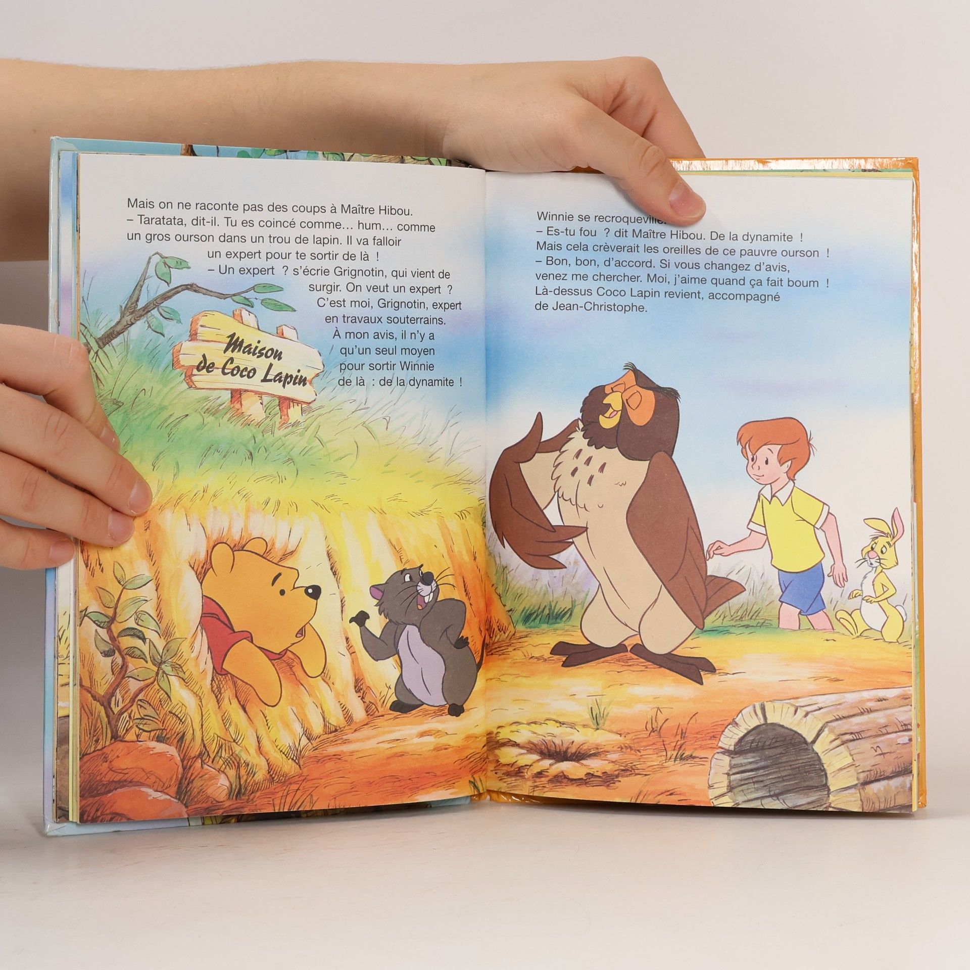 kolektiv Winnie l'Ourson et l'arbre à miel