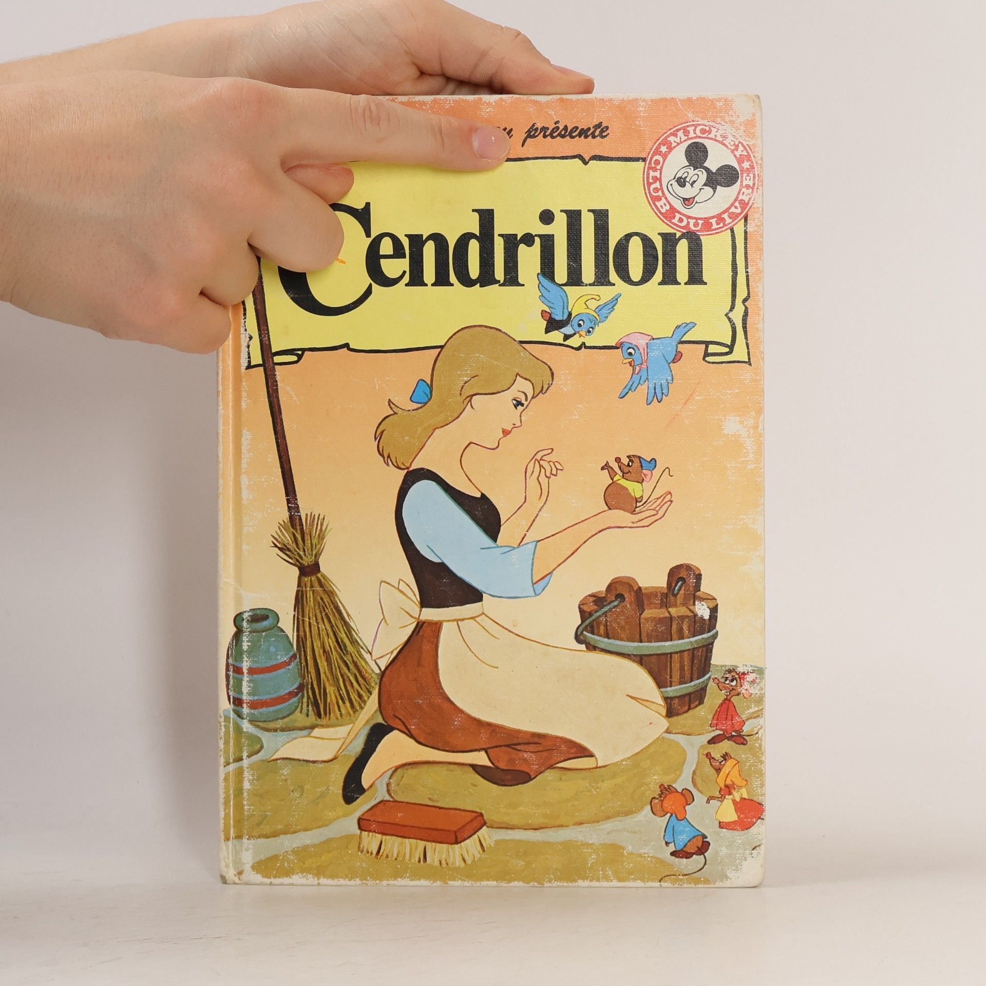 kolektiv Cendrillon