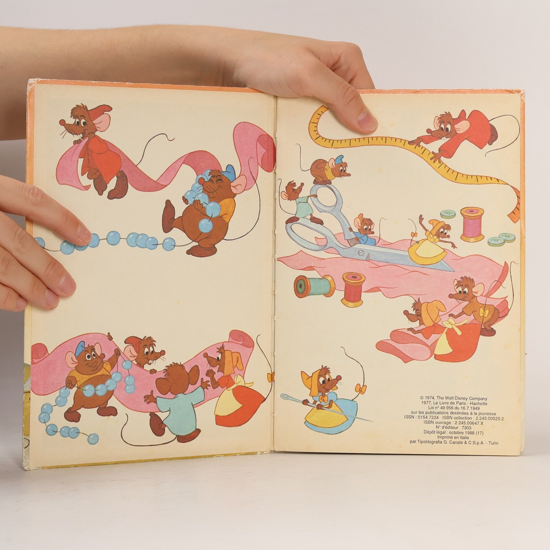 kolektiv Cendrillon