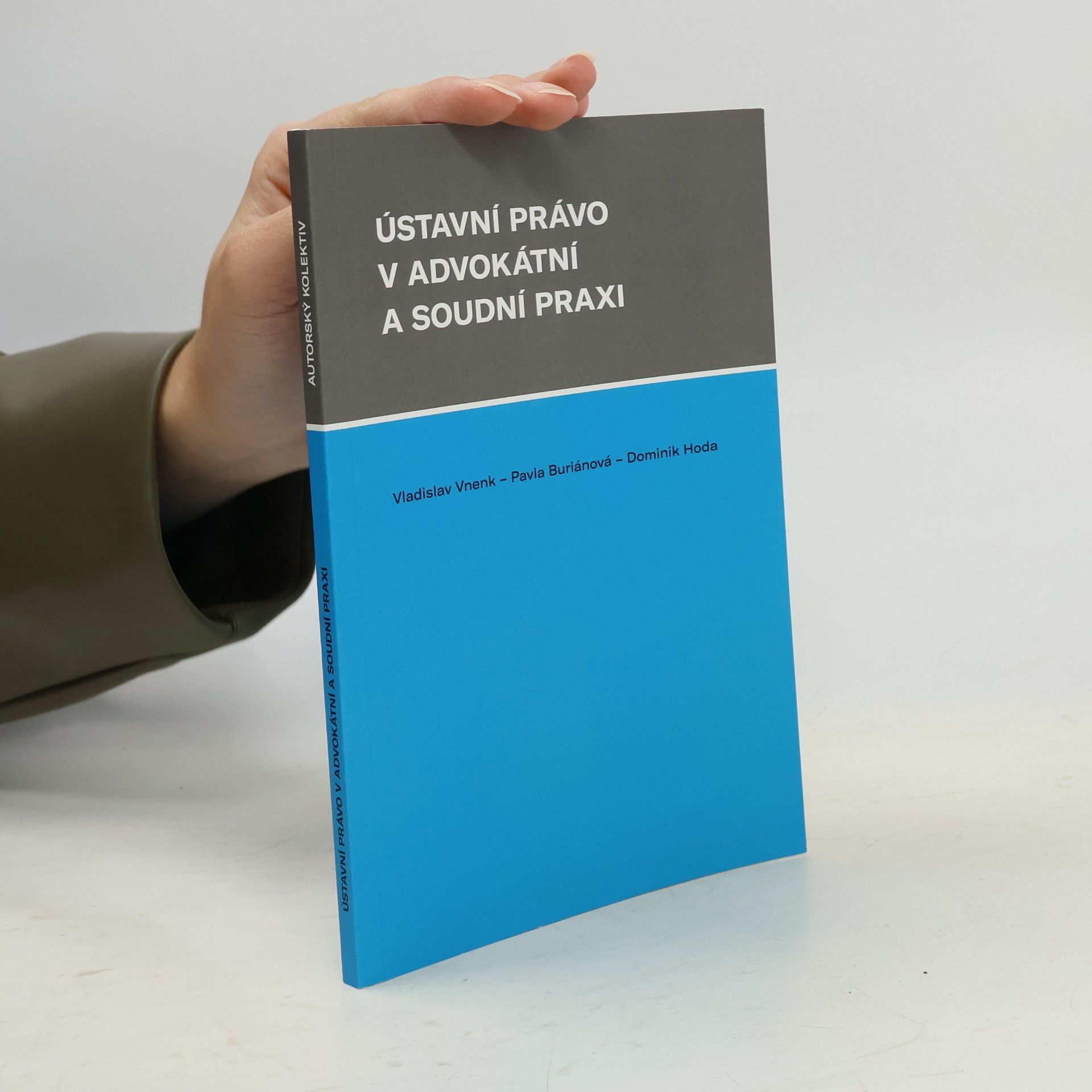 Dominik Hoda Ústavní právo v advokátní a soudní praxi