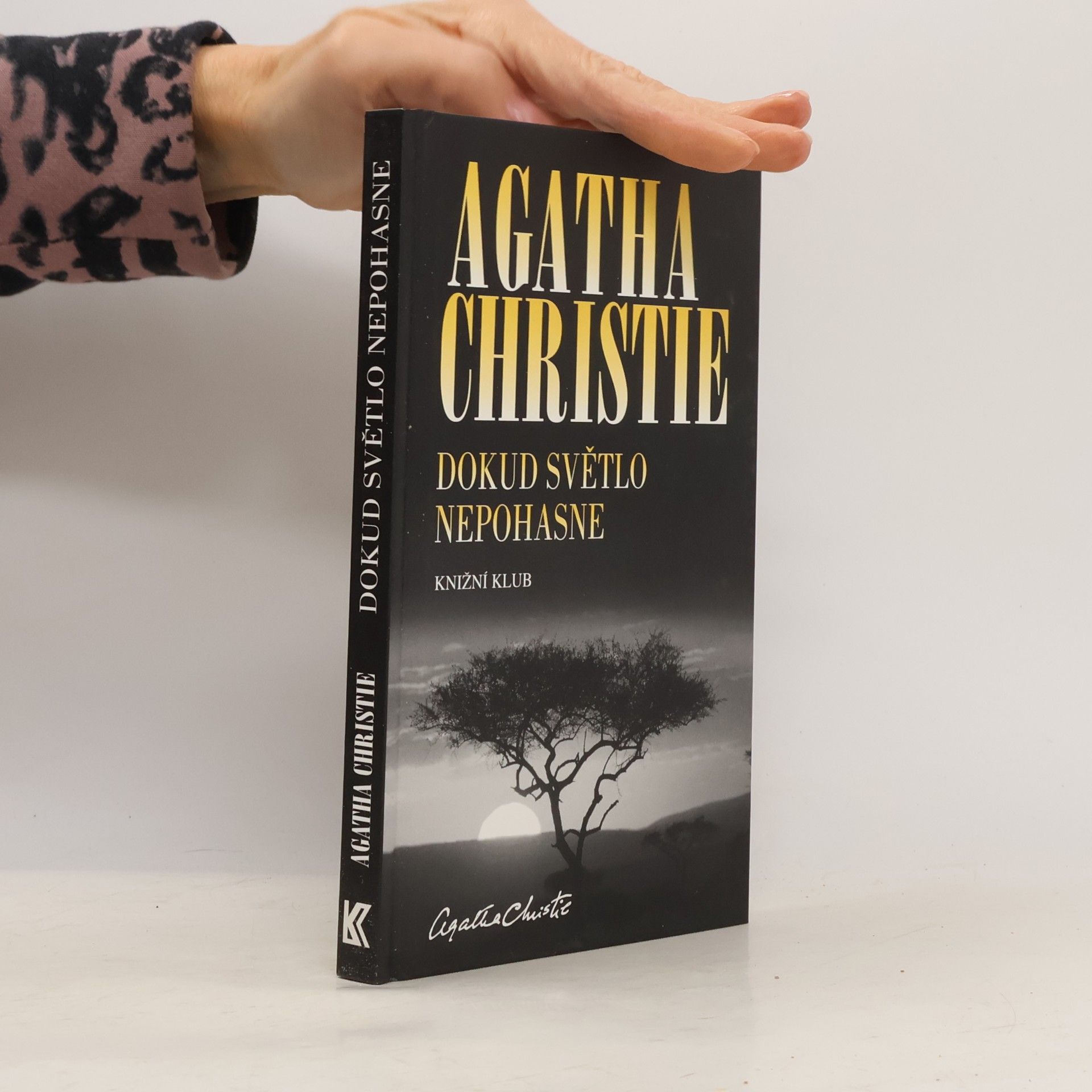 Agatha Christie Dokud světlo nepohasne
