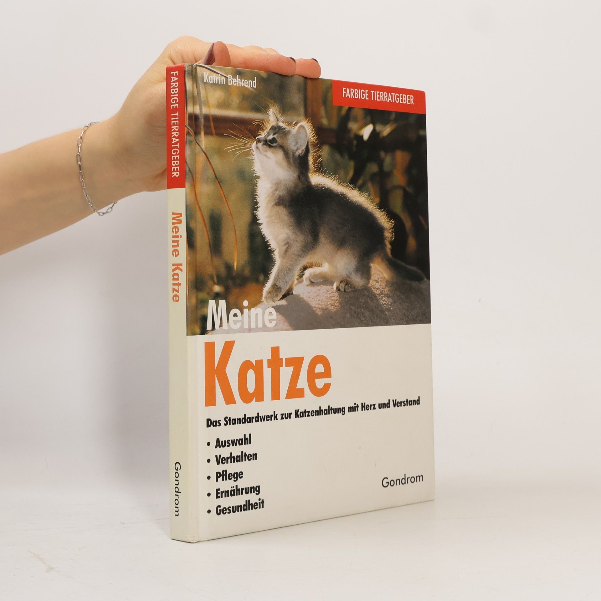 Meine Katze