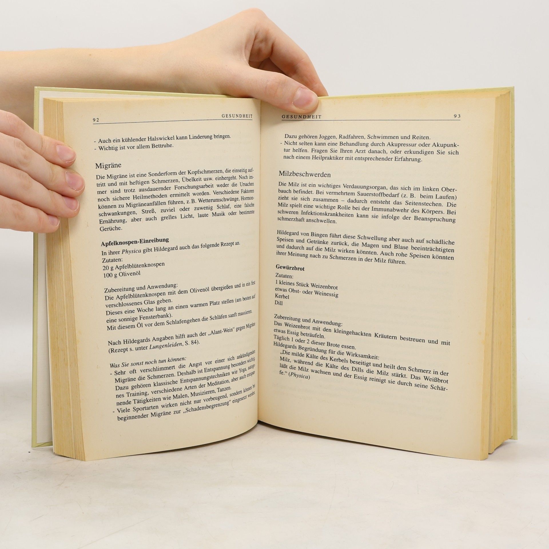 Heidelore Kluge Das große Hildegard-von-Bingen-Buch
