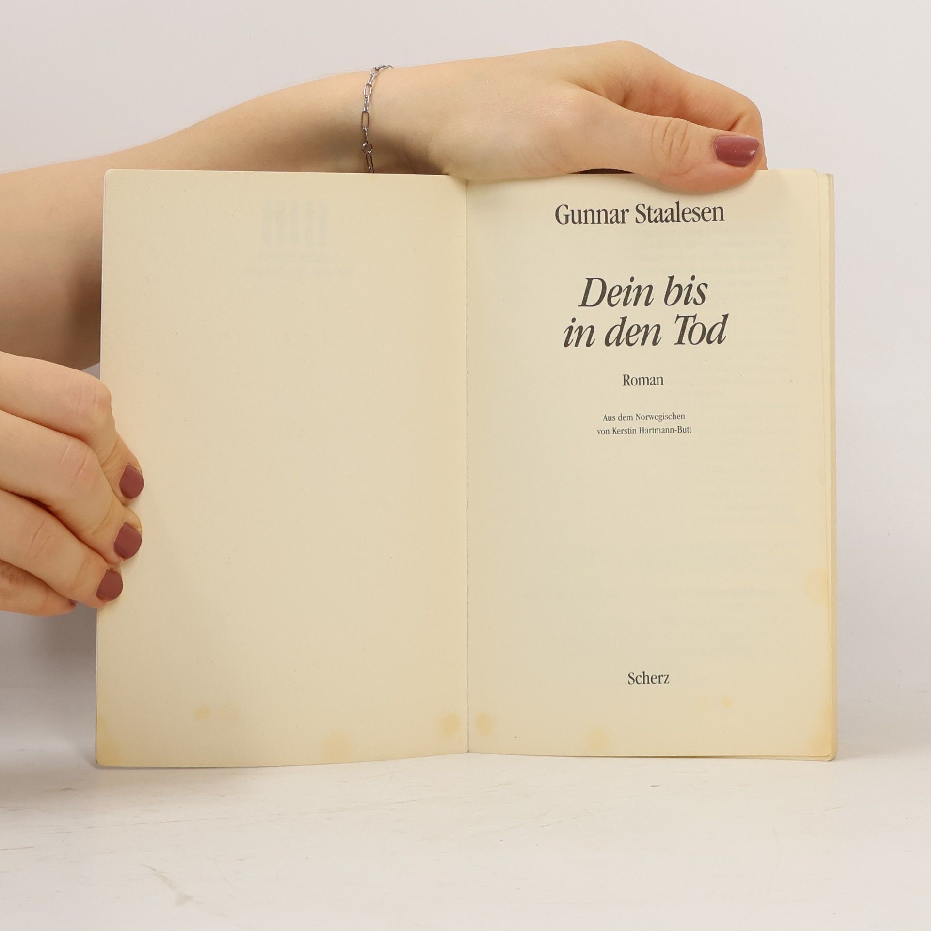 Gunnar Staalesen Dein bis in den Tod