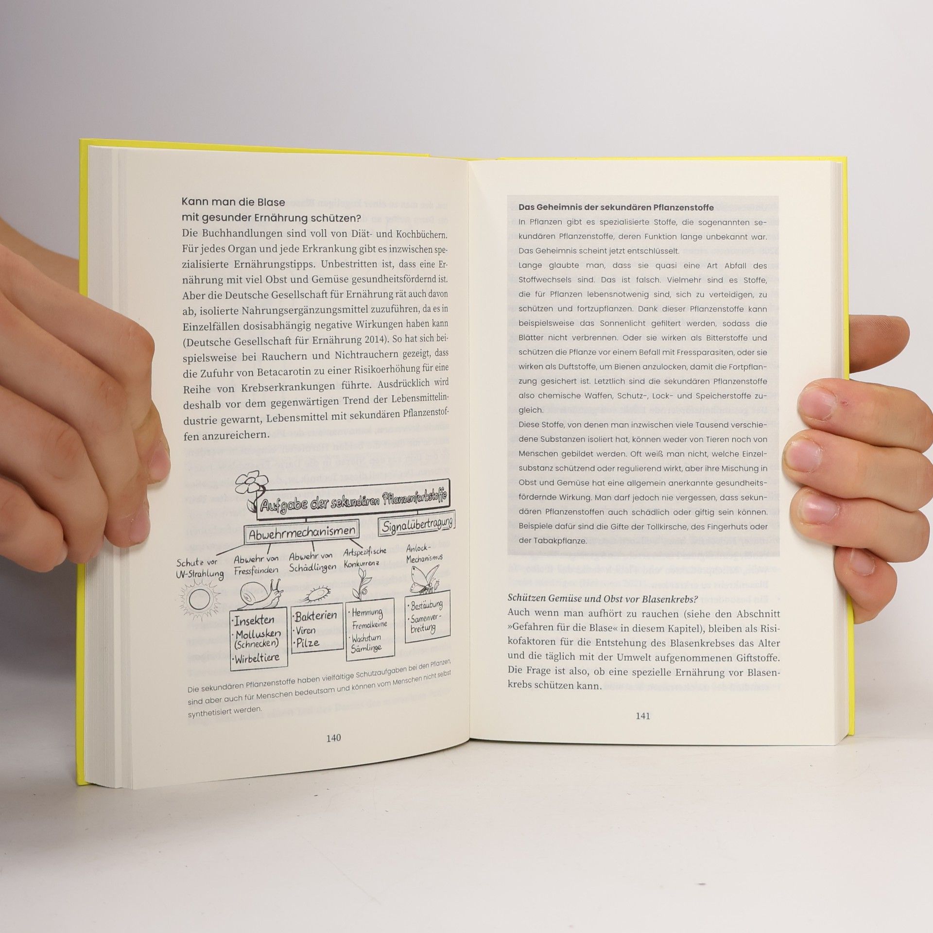 Stephan Roth Der Prostata- und Blasen-Guide
