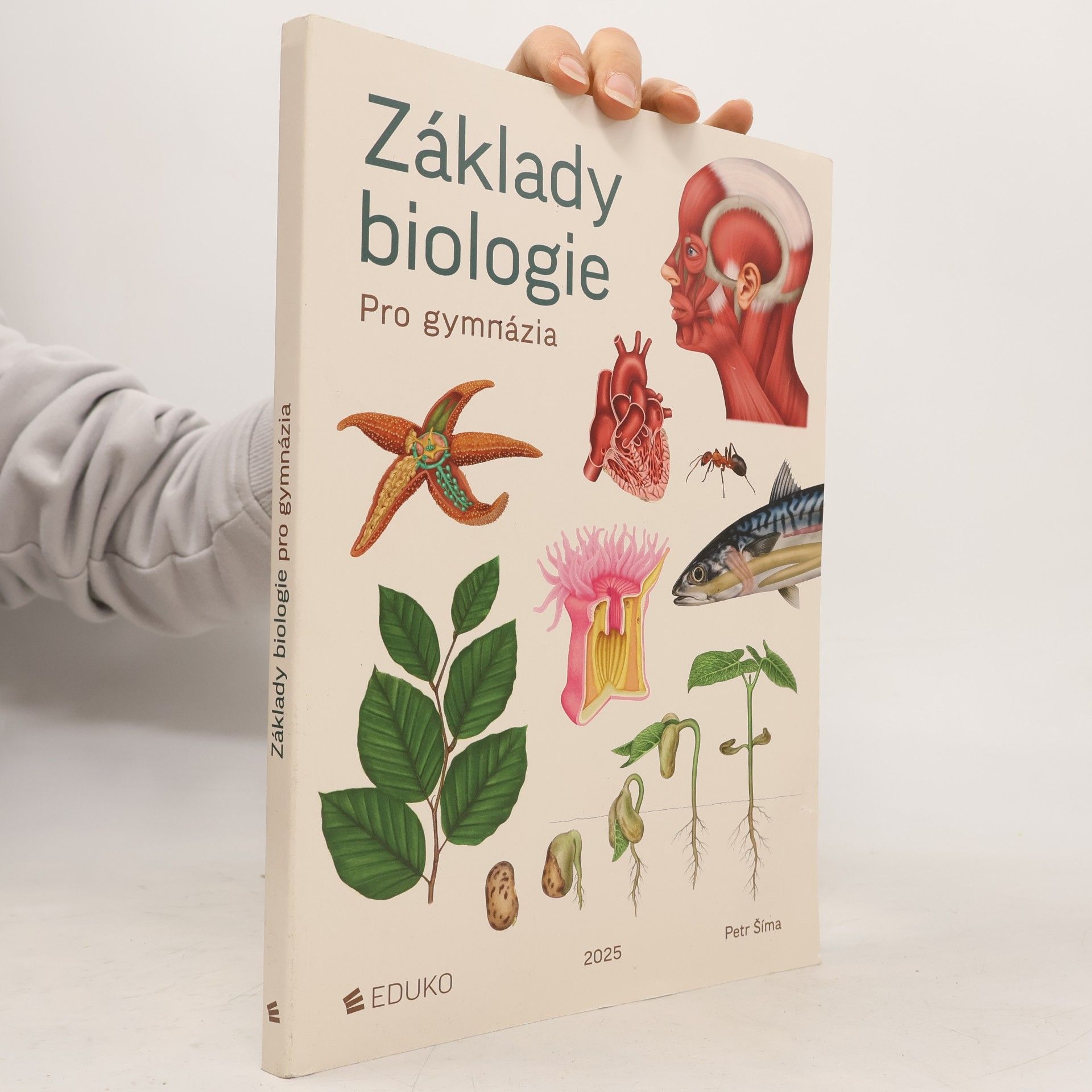 Základy biologie