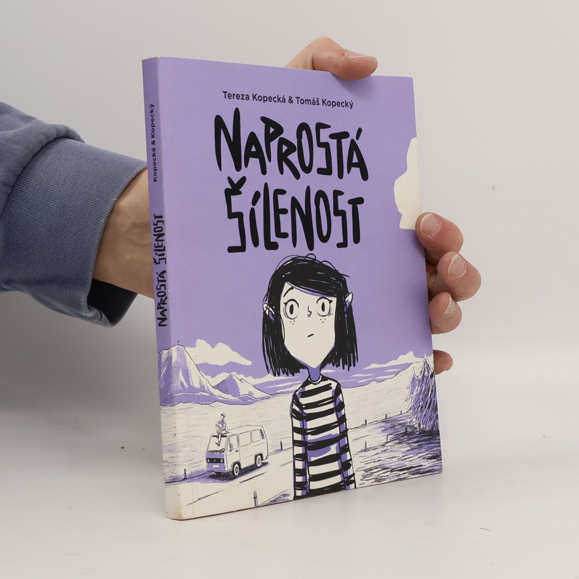 Tereza Kopecká Naprostá šílenost: Anna na cestě z úzkosti