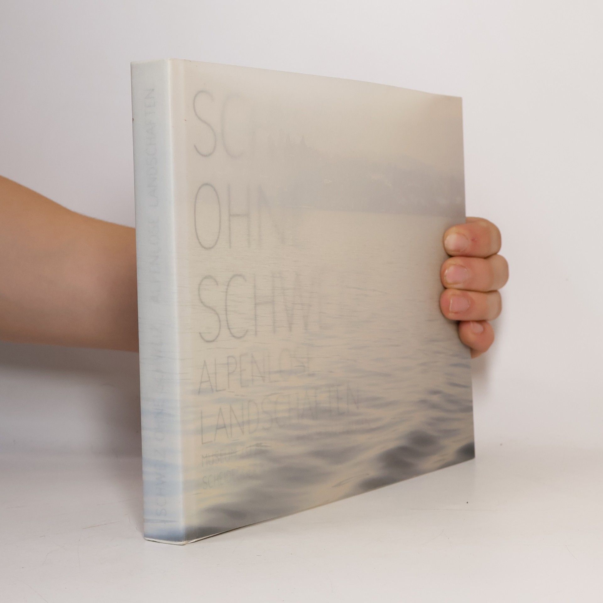 Schweiz ohne Schweiz