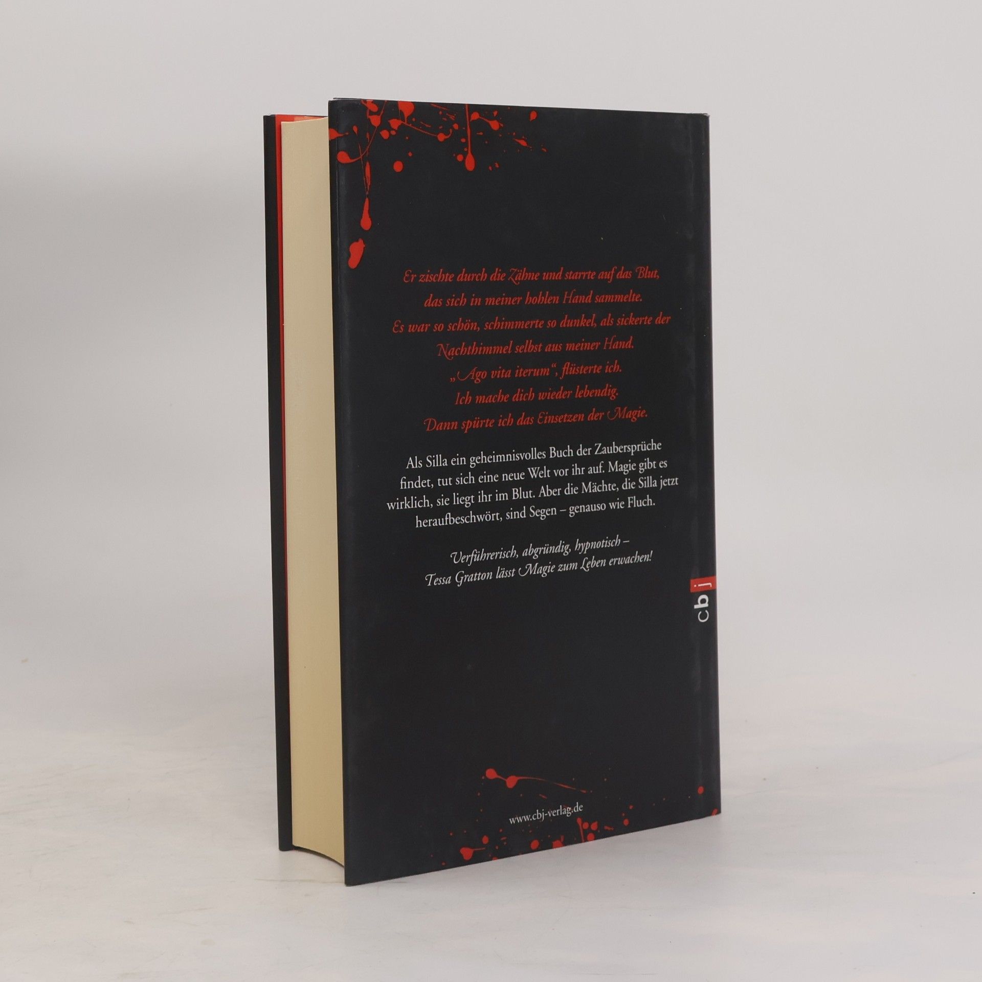 Tessa Gratton Blood Magic