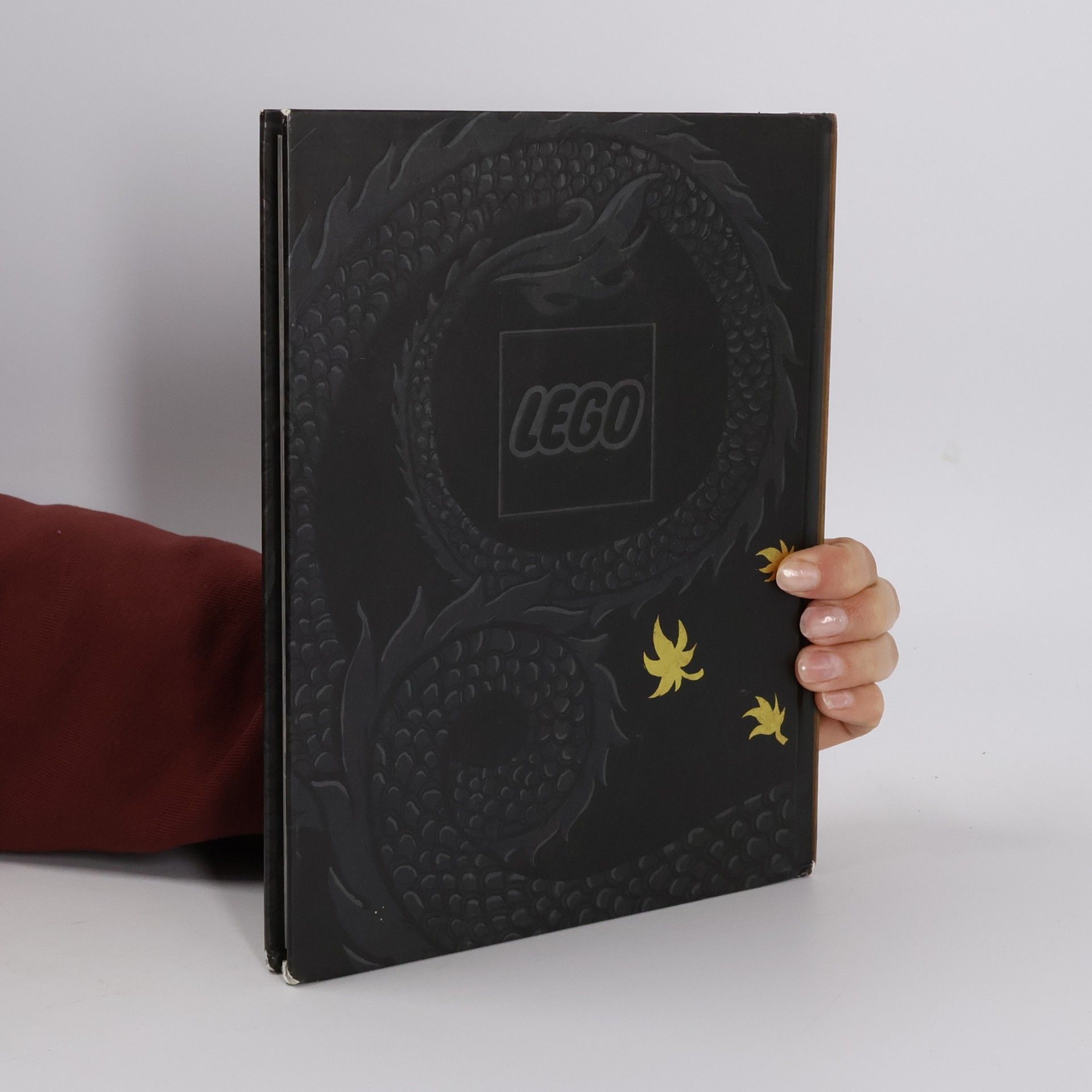 M. Adam LEGO® NINJAGO® Das Buch des Spinjitzu