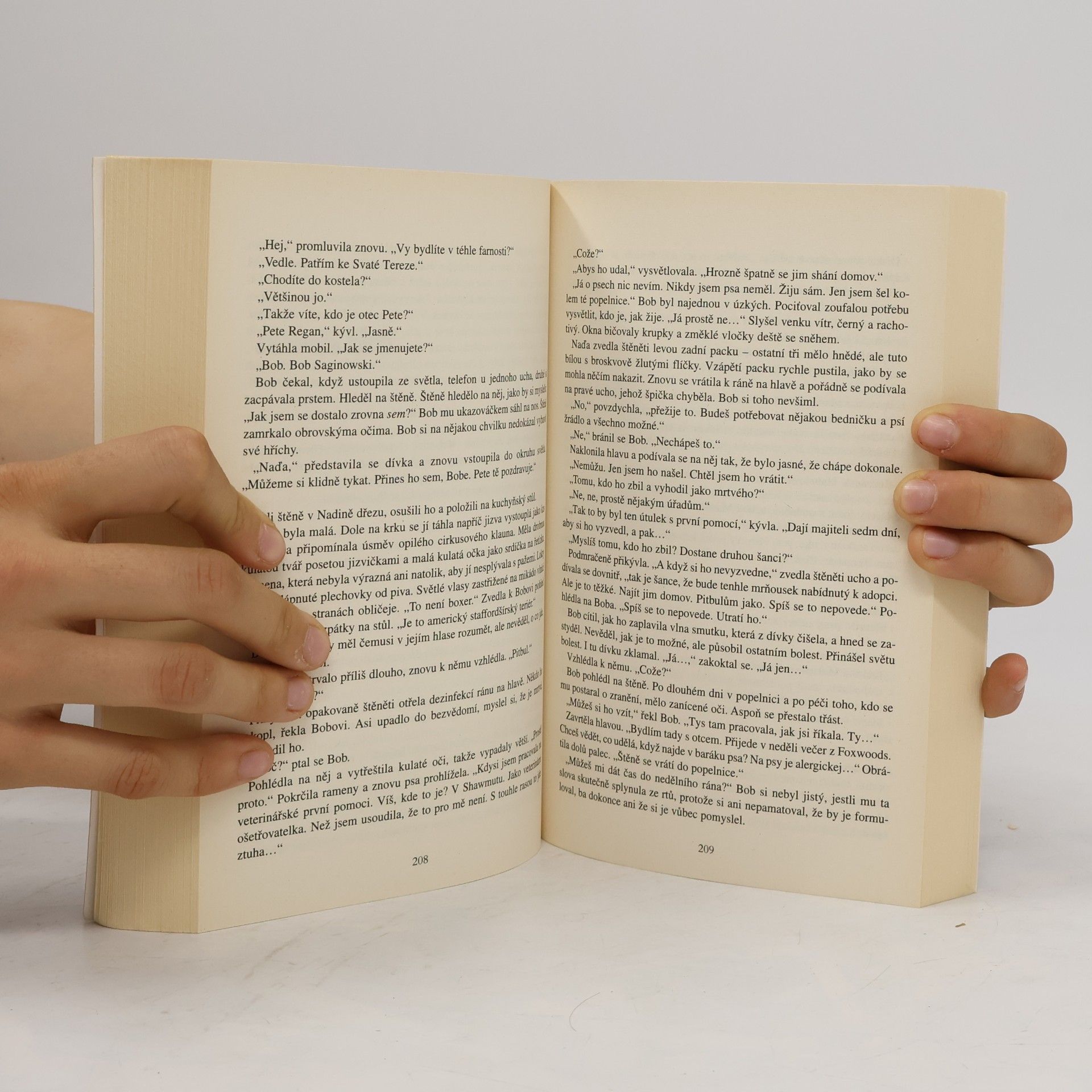 Lee Child Nejlepší americké detektivní povídky