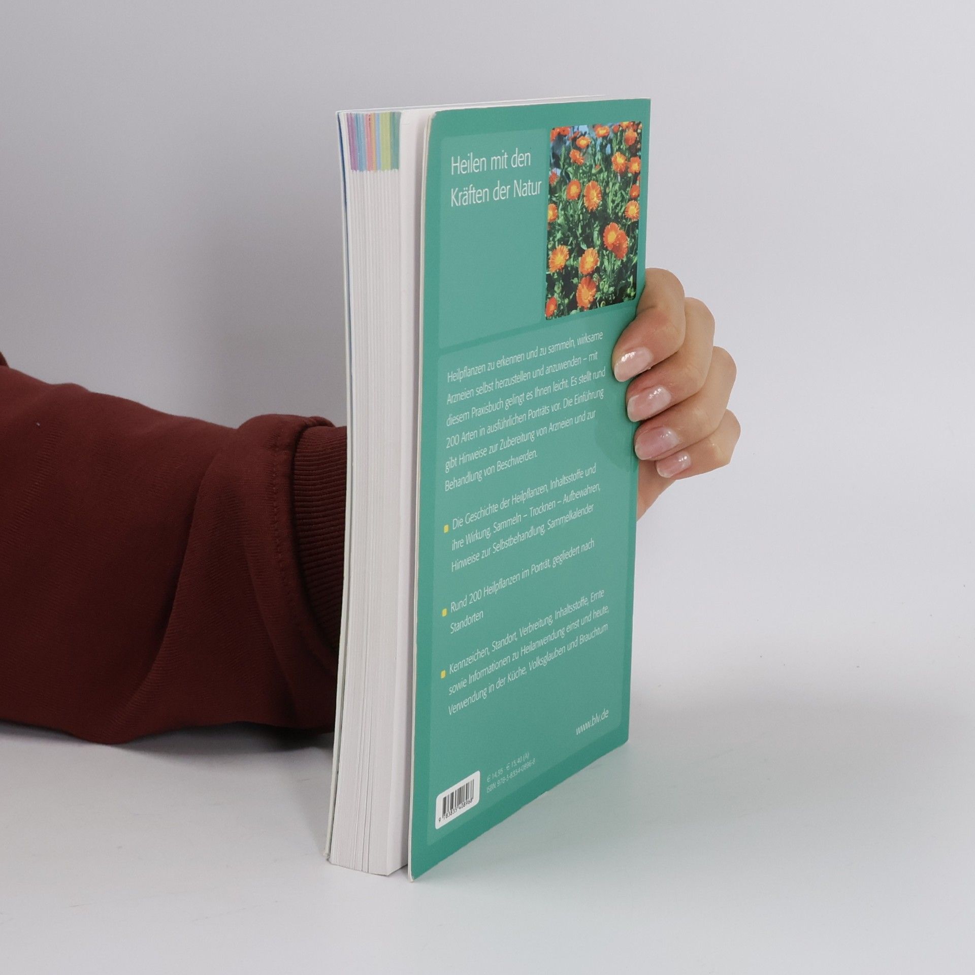 Manfred Bocksch Das praktische Buch der Heilpflanzen