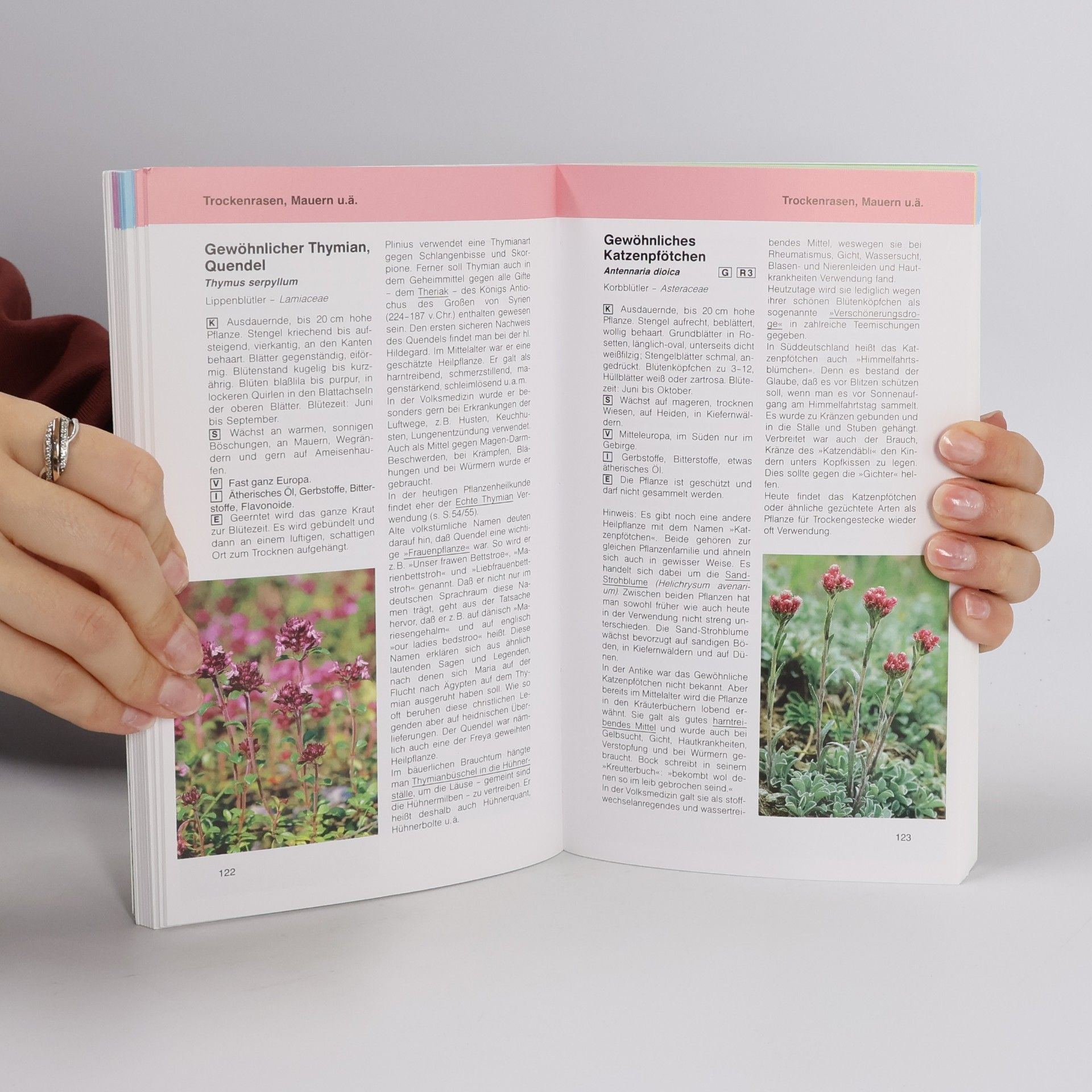 Manfred Bocksch Das praktische Buch der Heilpflanzen