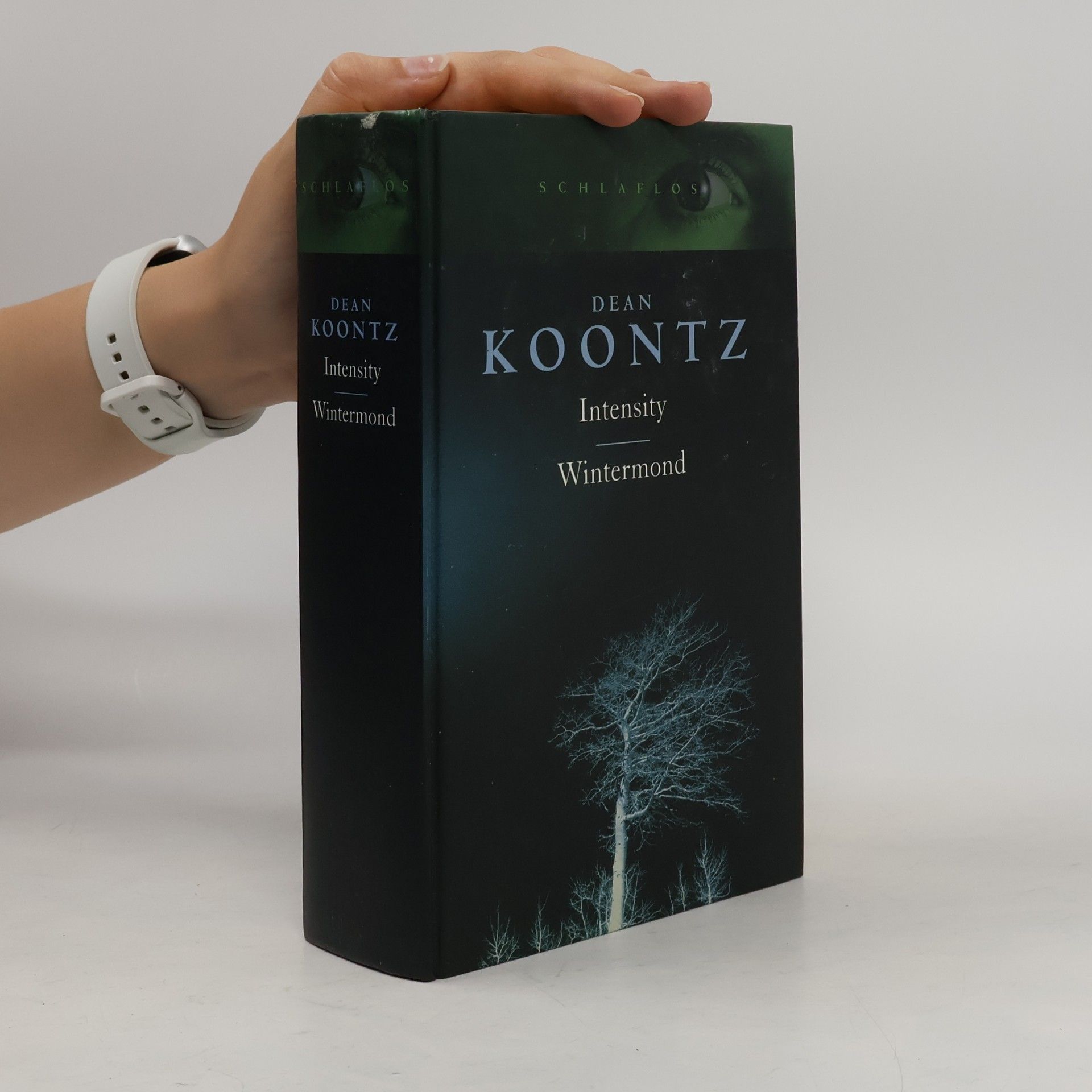 Dean Ray Koontz Intensity / Wintermond