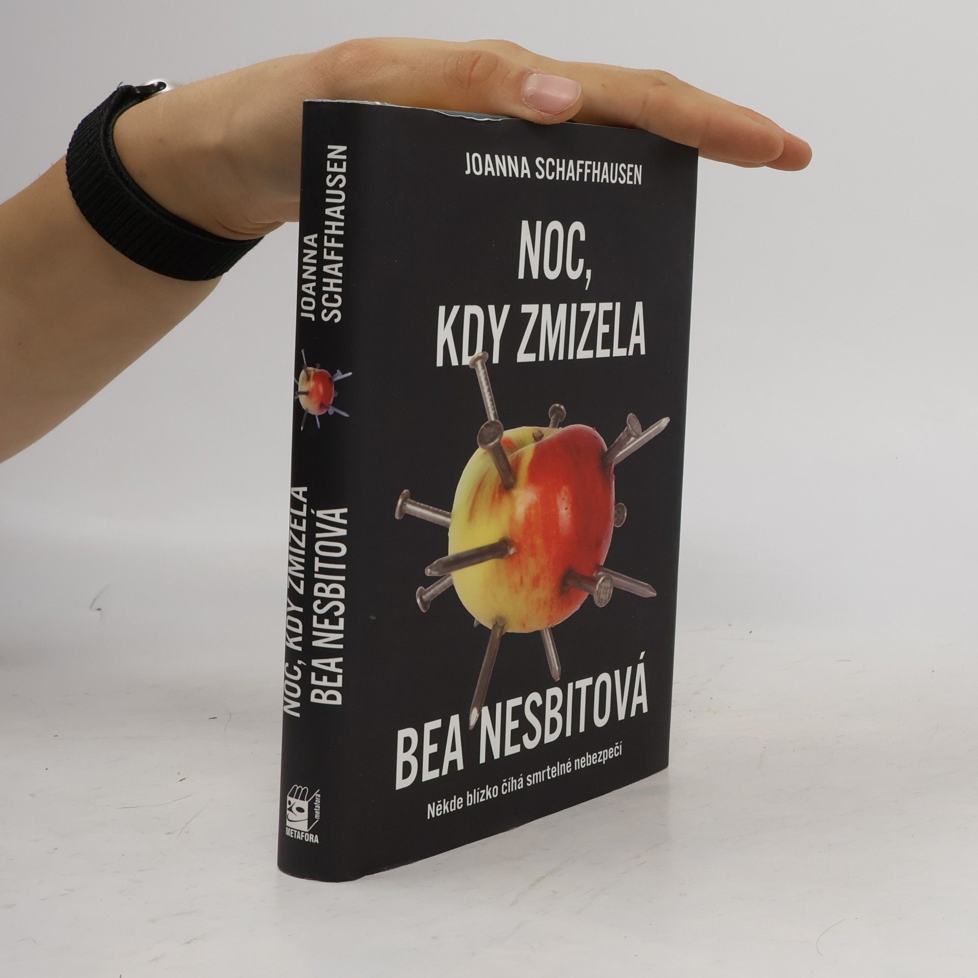 Joanna Schaffhausen Noc, kdy zmizela Bea Nesbitová