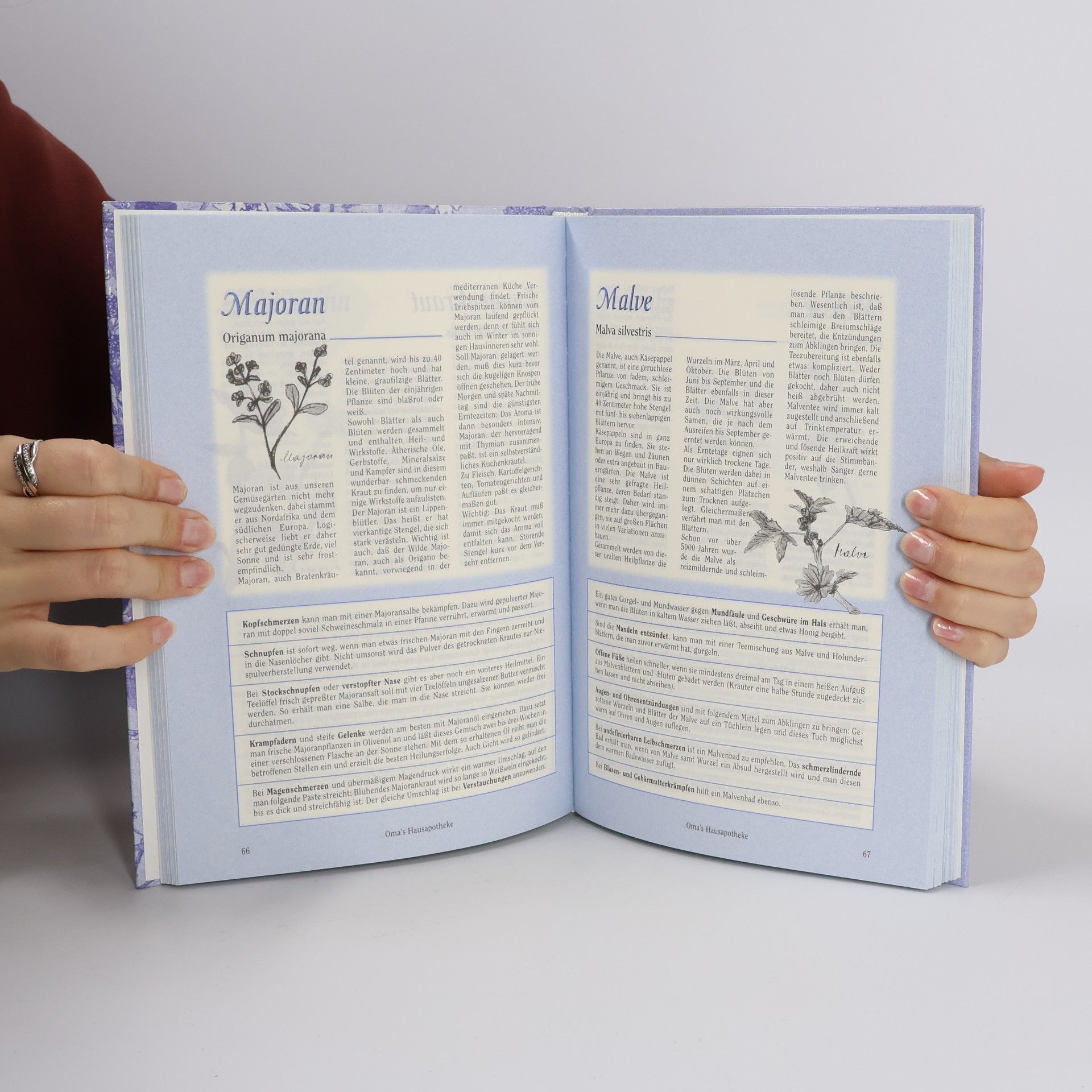 Kolektiv autorů Das Kräuterbuch