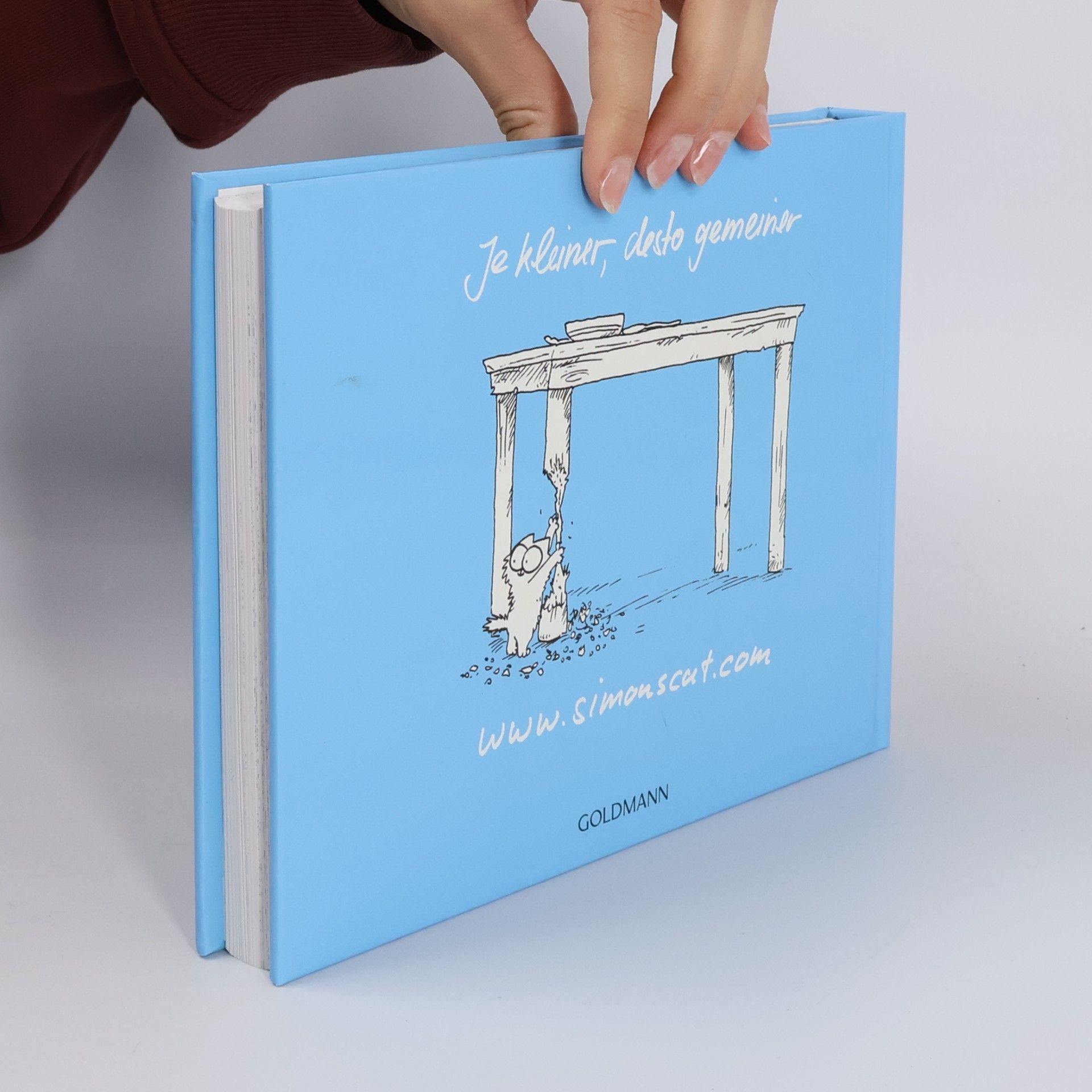 Simon Tofield Simons Katze. Kätzchenchaos