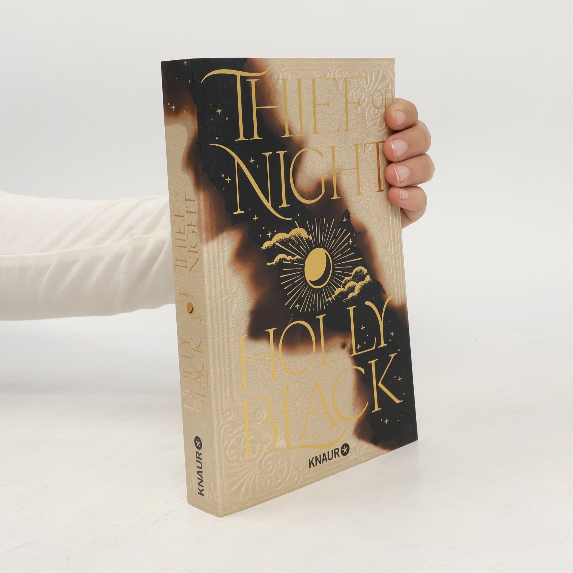 Holly Black Thief of Night