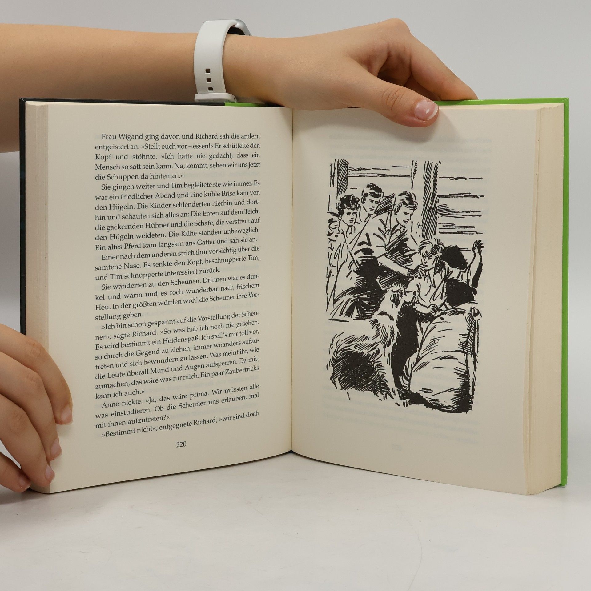 Enid Blyton Fünf Freunde. Drei gefährliche Begegnungen. Sammelband 5