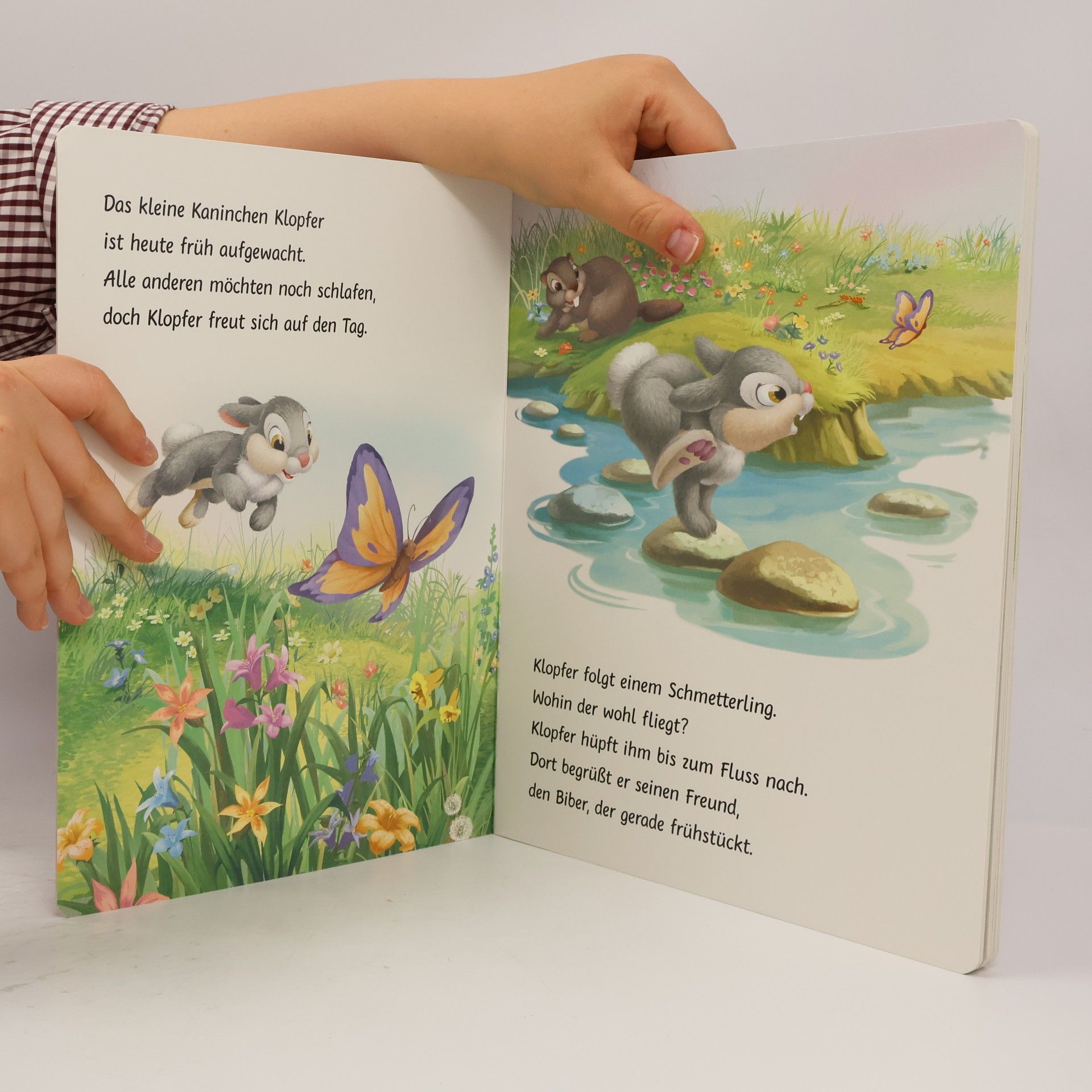 Walt Disney Disney: Klopfer & seine Freunde - Mein erstes Vorlesebuch