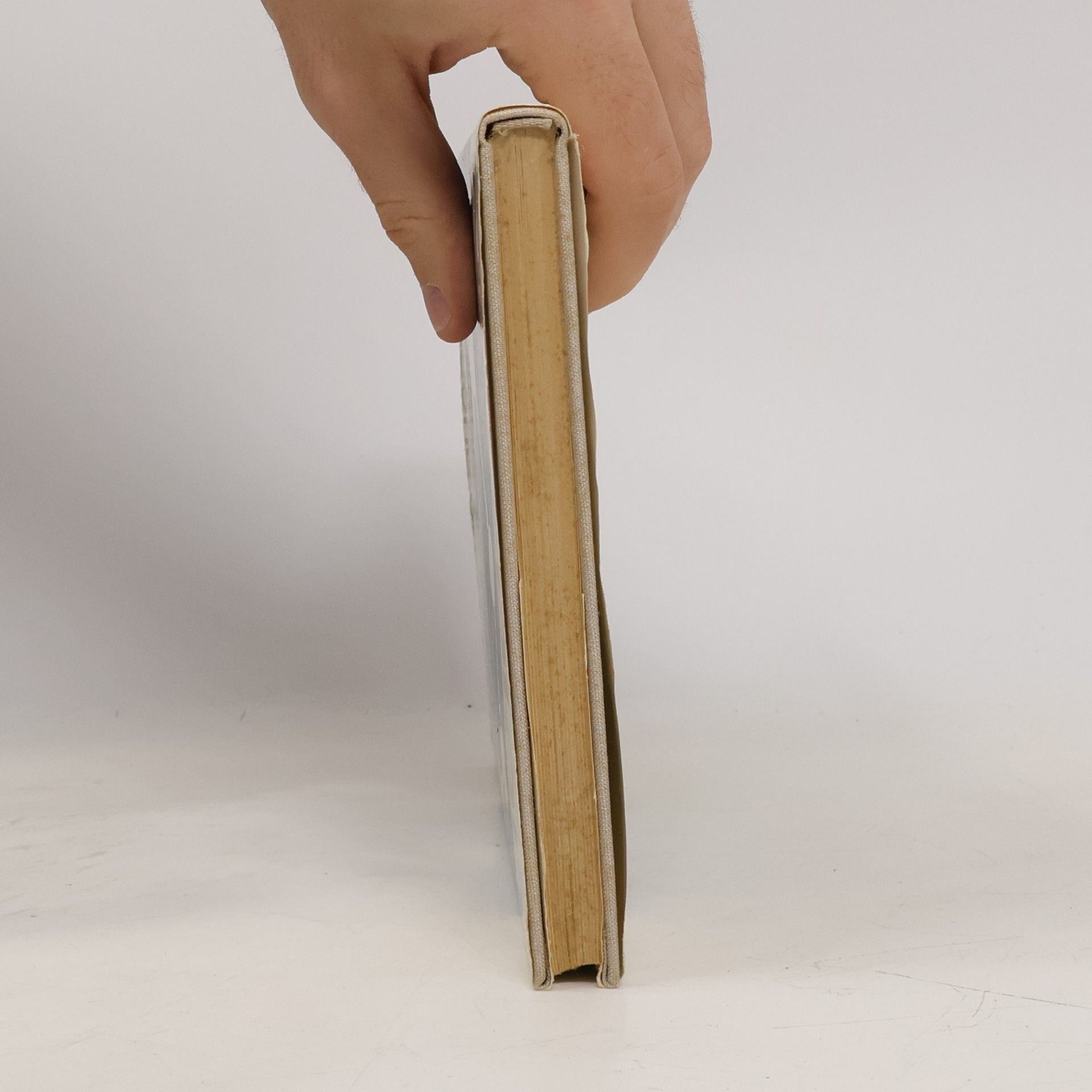 Dieter Stempell Handbuch der Netzplantechnik