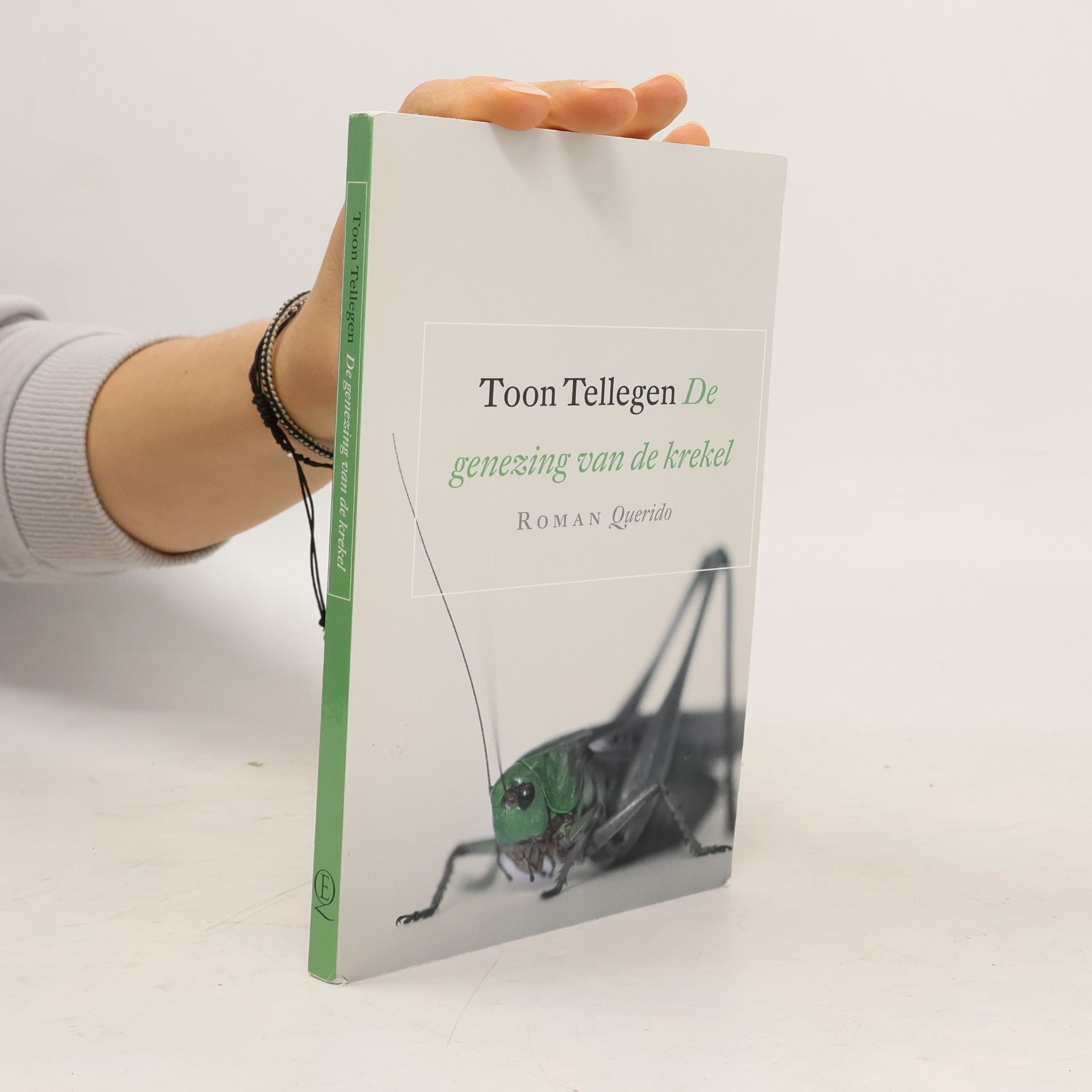 Toon Tellegen De genezing van de krekel / druk 15