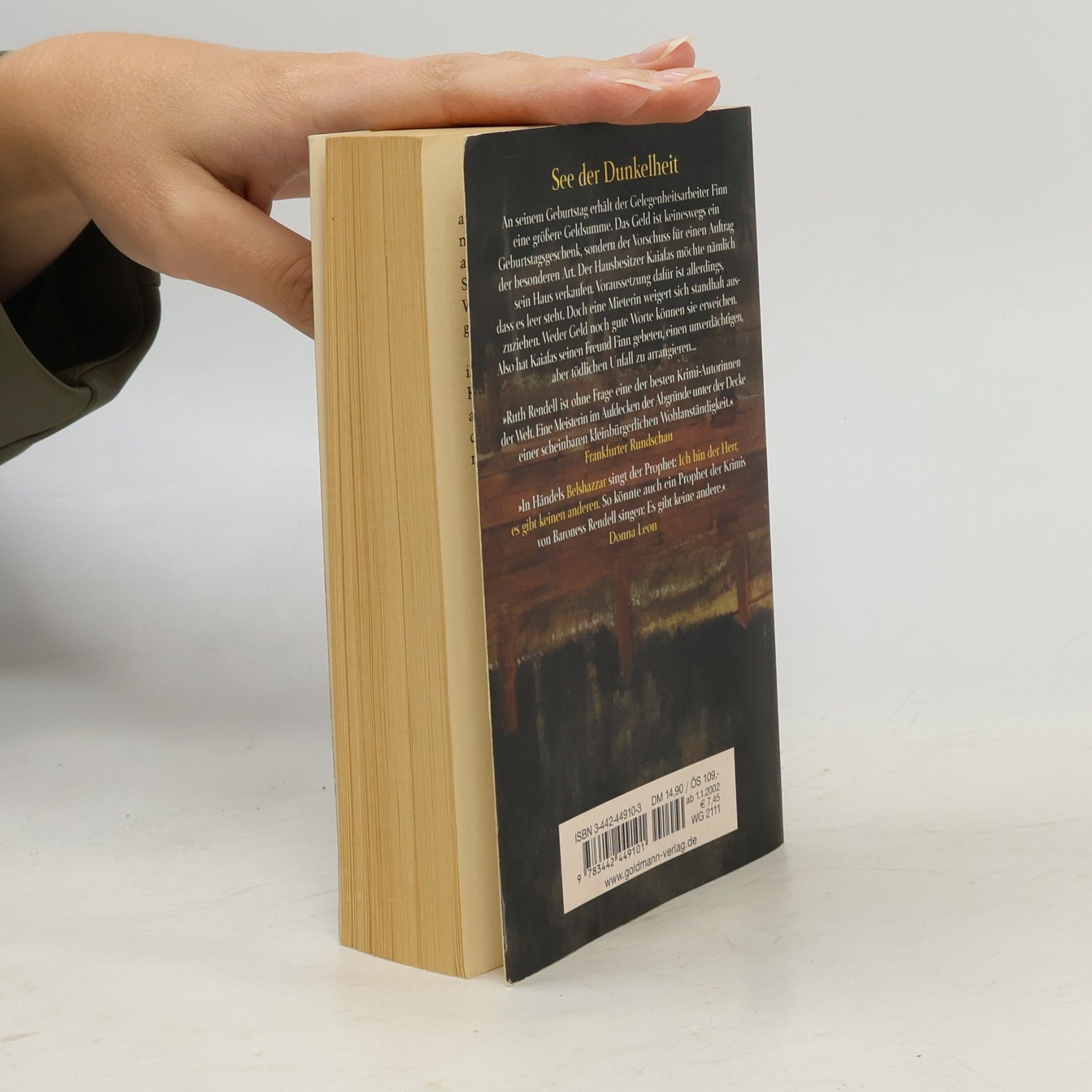 Ruth Rendell See der Dunkelheit