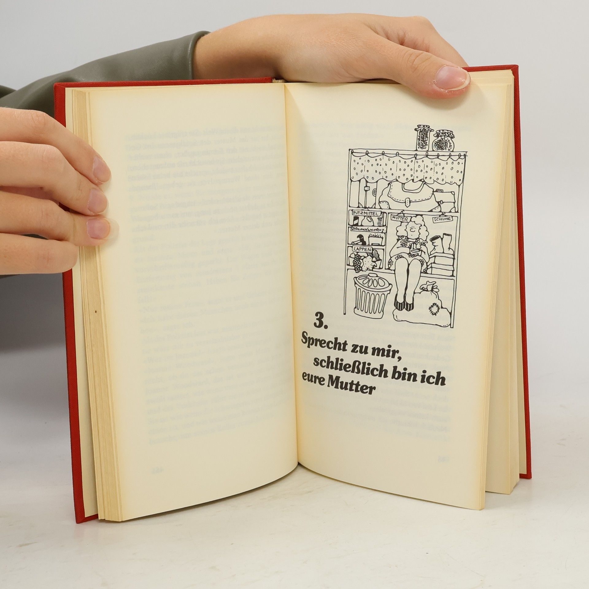 Erma Bombeck Ich hab' mein Herz im Wäschekorb verloren