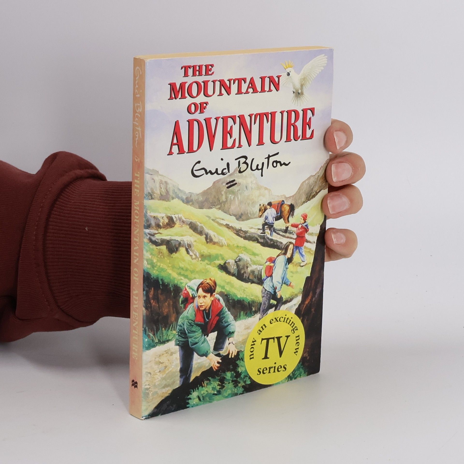 Enid Blyton The Mountain of Adventure