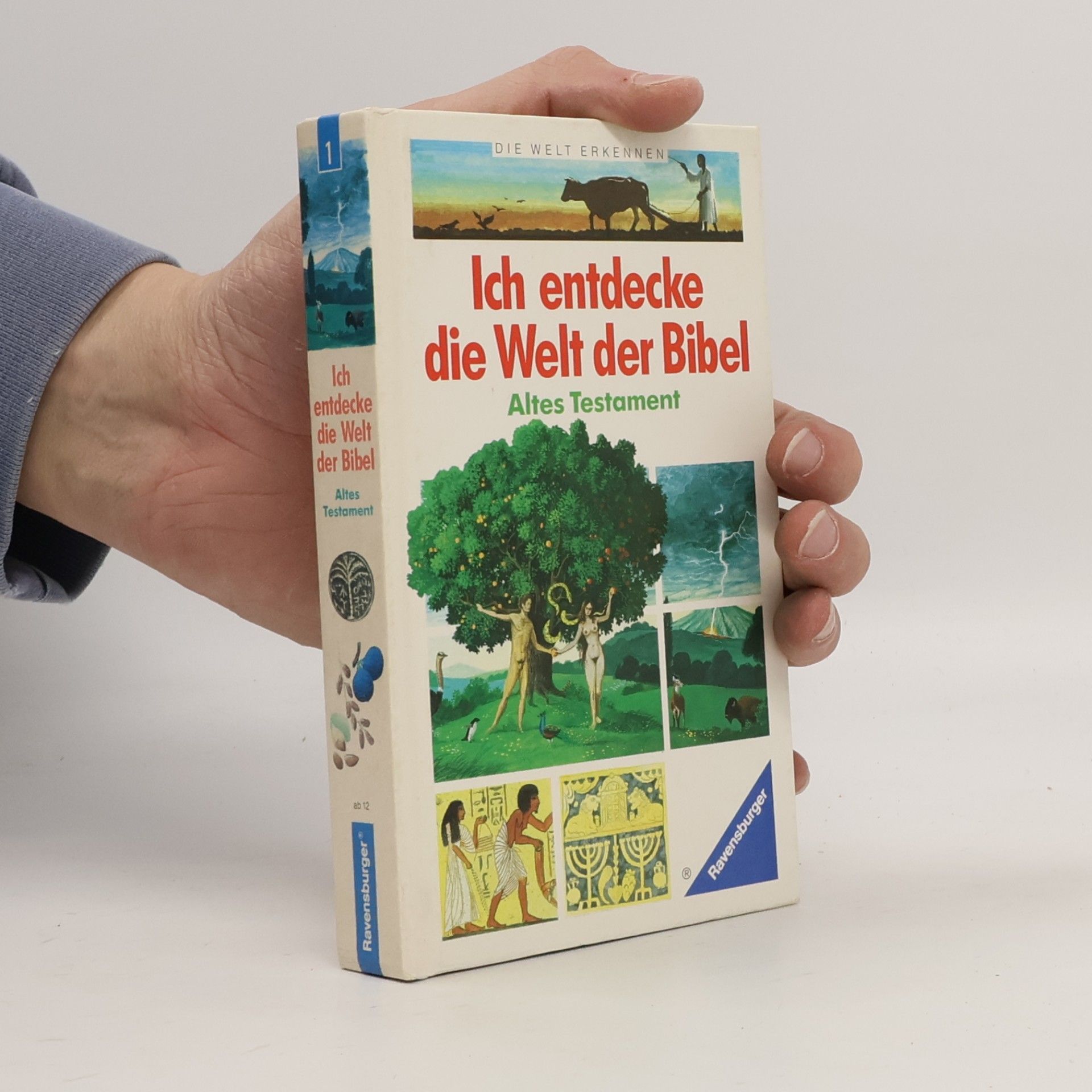 Jacques Musset Ich entdecke die Welt der Bibel