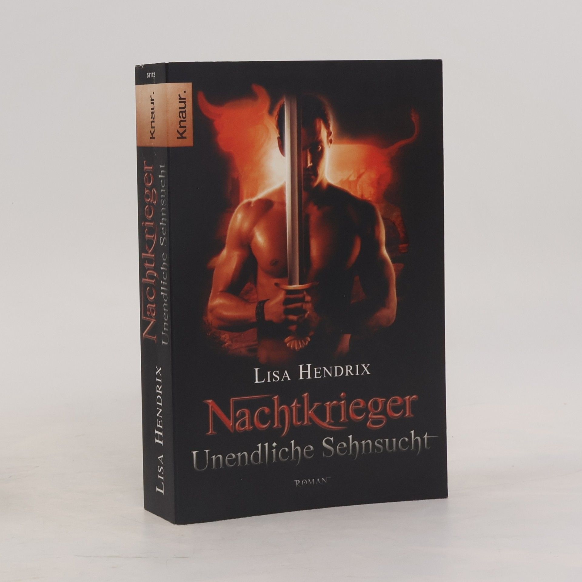 Lisa Hendrix Nachtkrieger 3