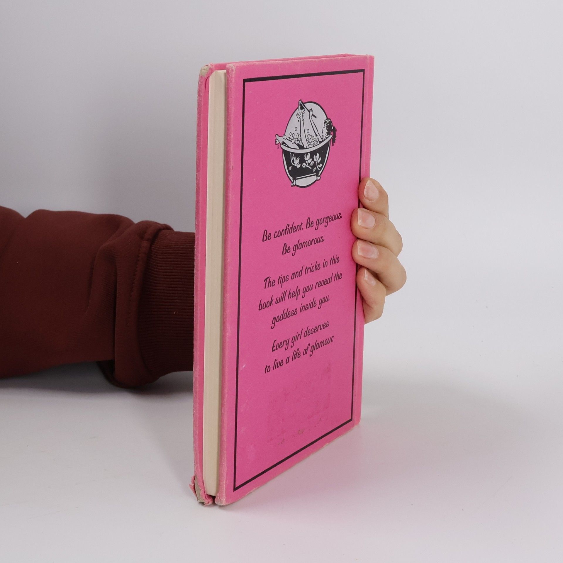 Sally Jeffrie The Girls' Book of Glamour