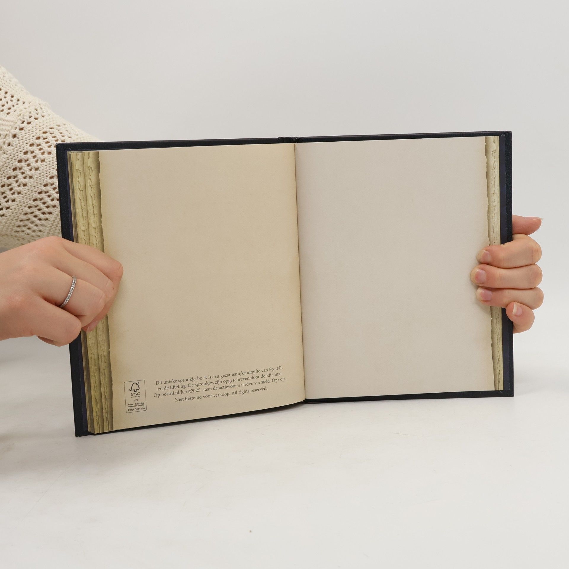 Sander de Bruijn Sprookjesboek vol decemberzegels