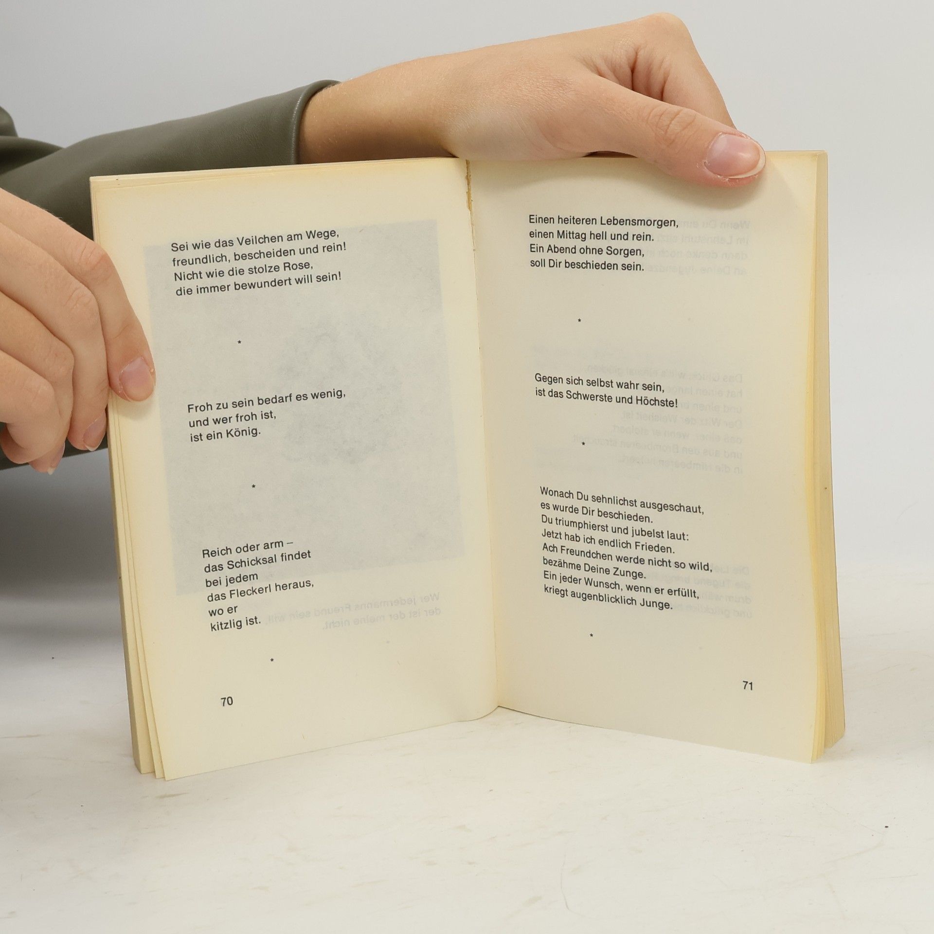 Elke Schneider Verse und Sprichwörter für Poesiealbum und Gästebuch
