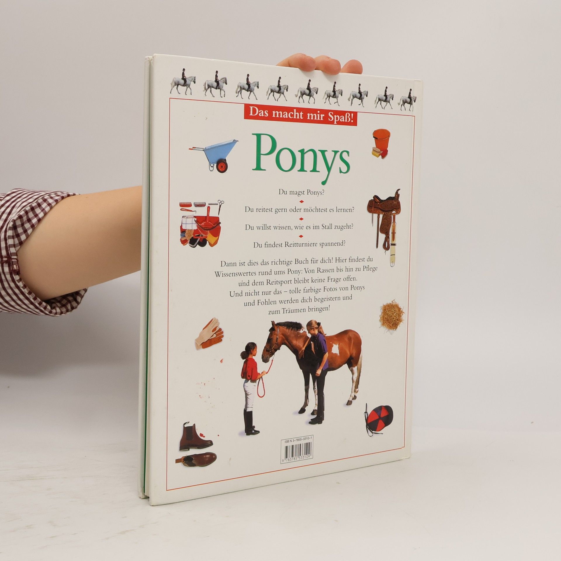 Louise Pritchard Ponys