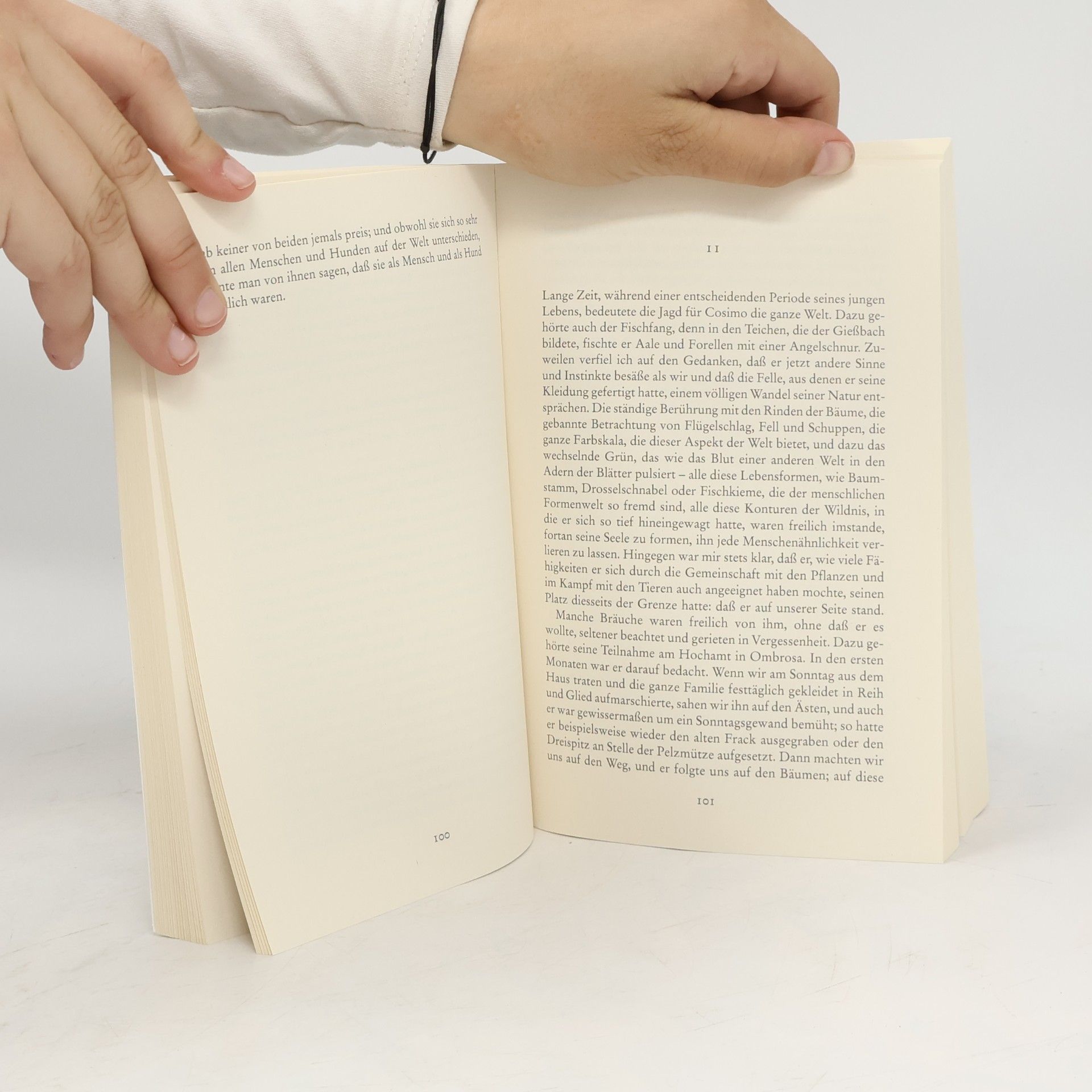 Italo Calvino Der Baron auf den Bäumen