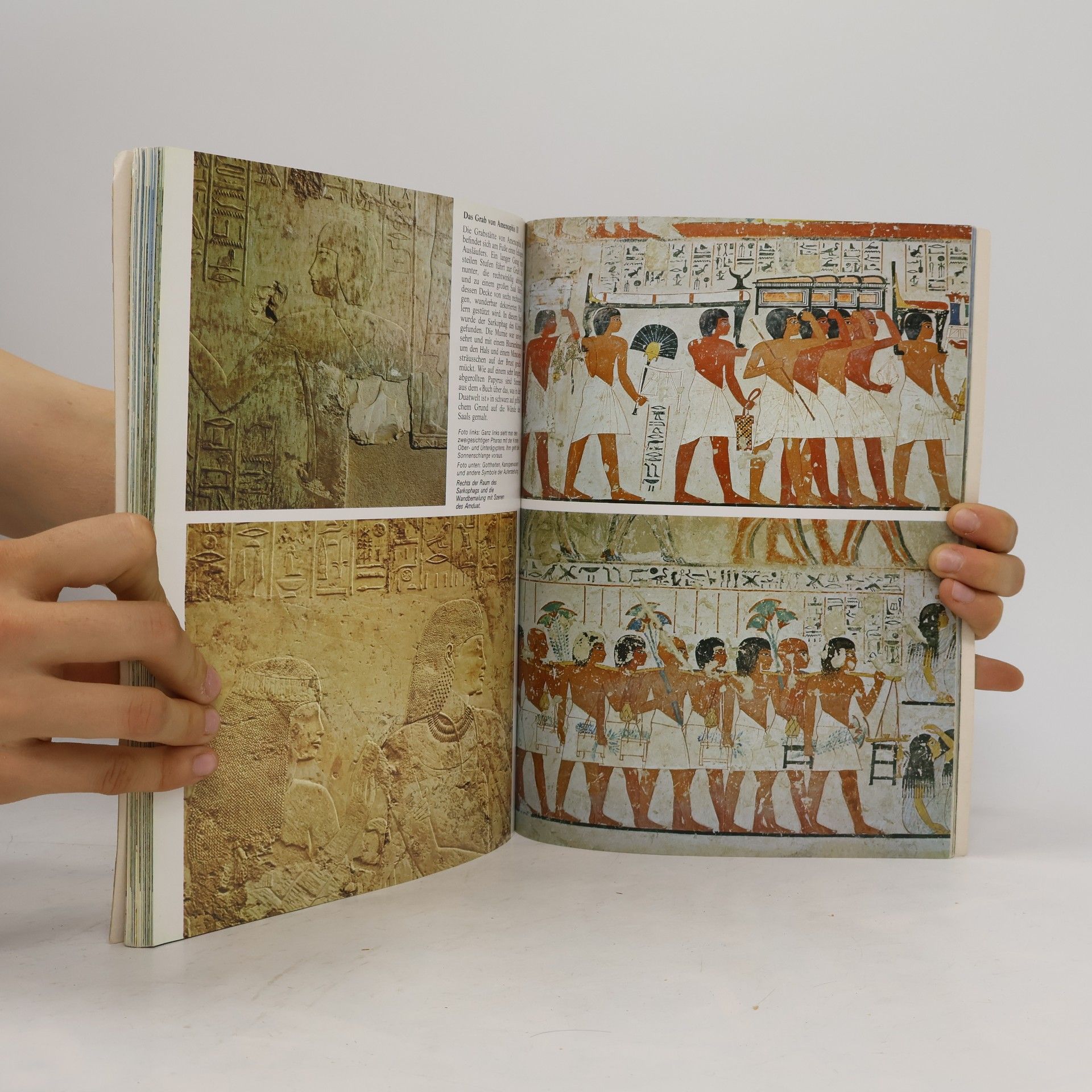 Auteurscollectief Ganz Ägypten