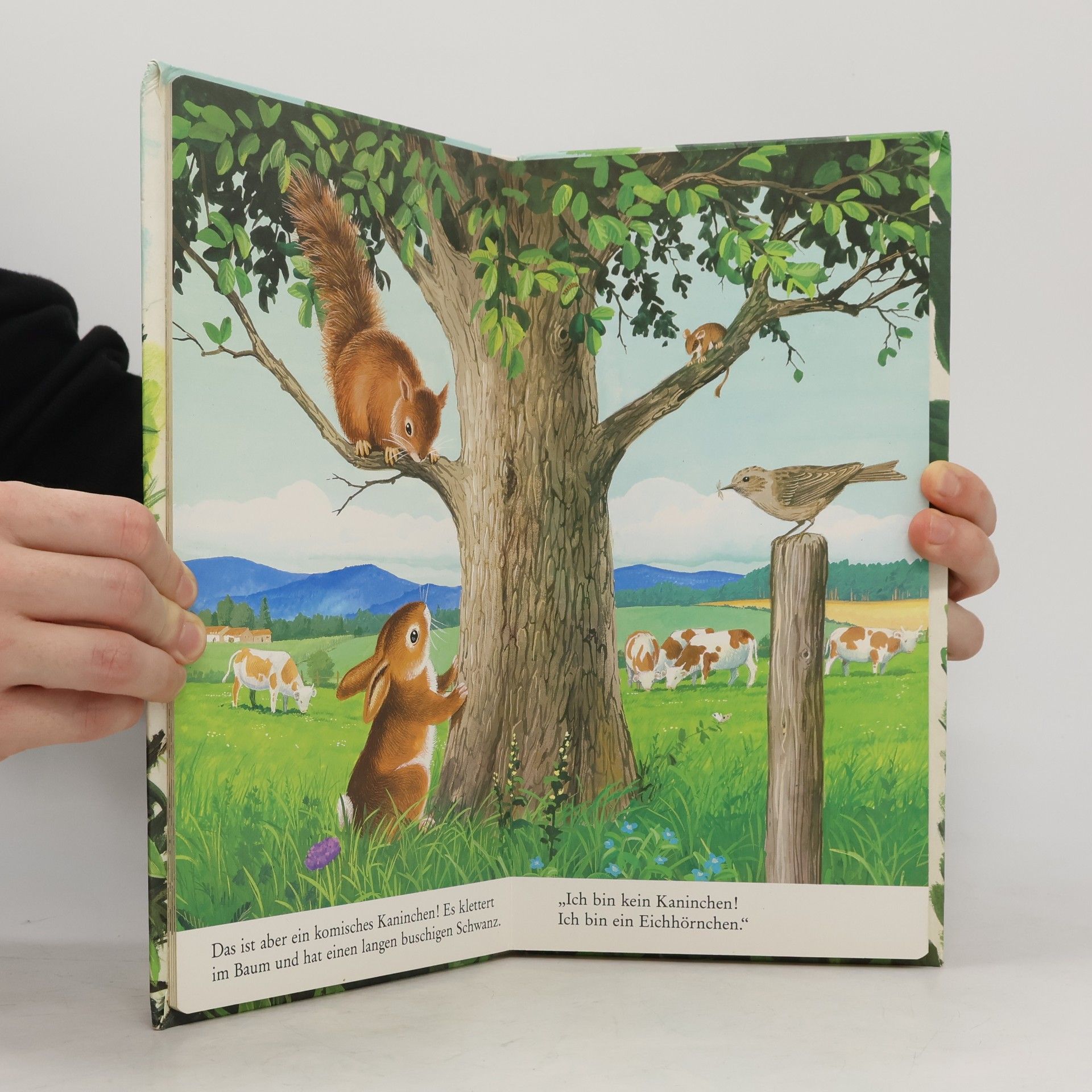 Franc ois Crozat Das flinke Kaninchen