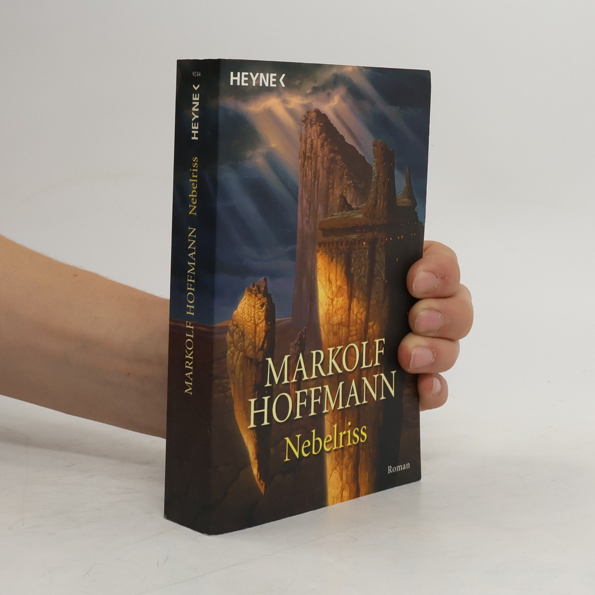 Markolf Hoffmann Nebelriss