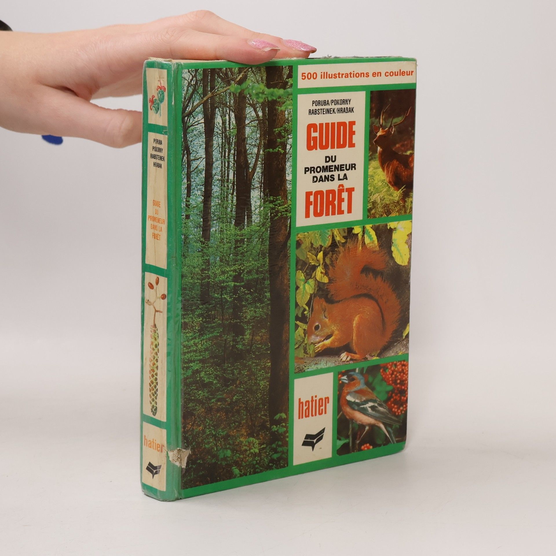 Joëlle Millien Guide du promeneur dans la foret