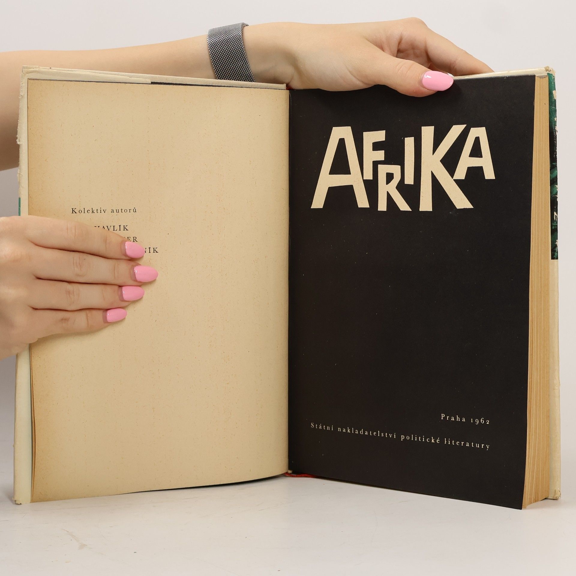 Jiří Havlík Afrika