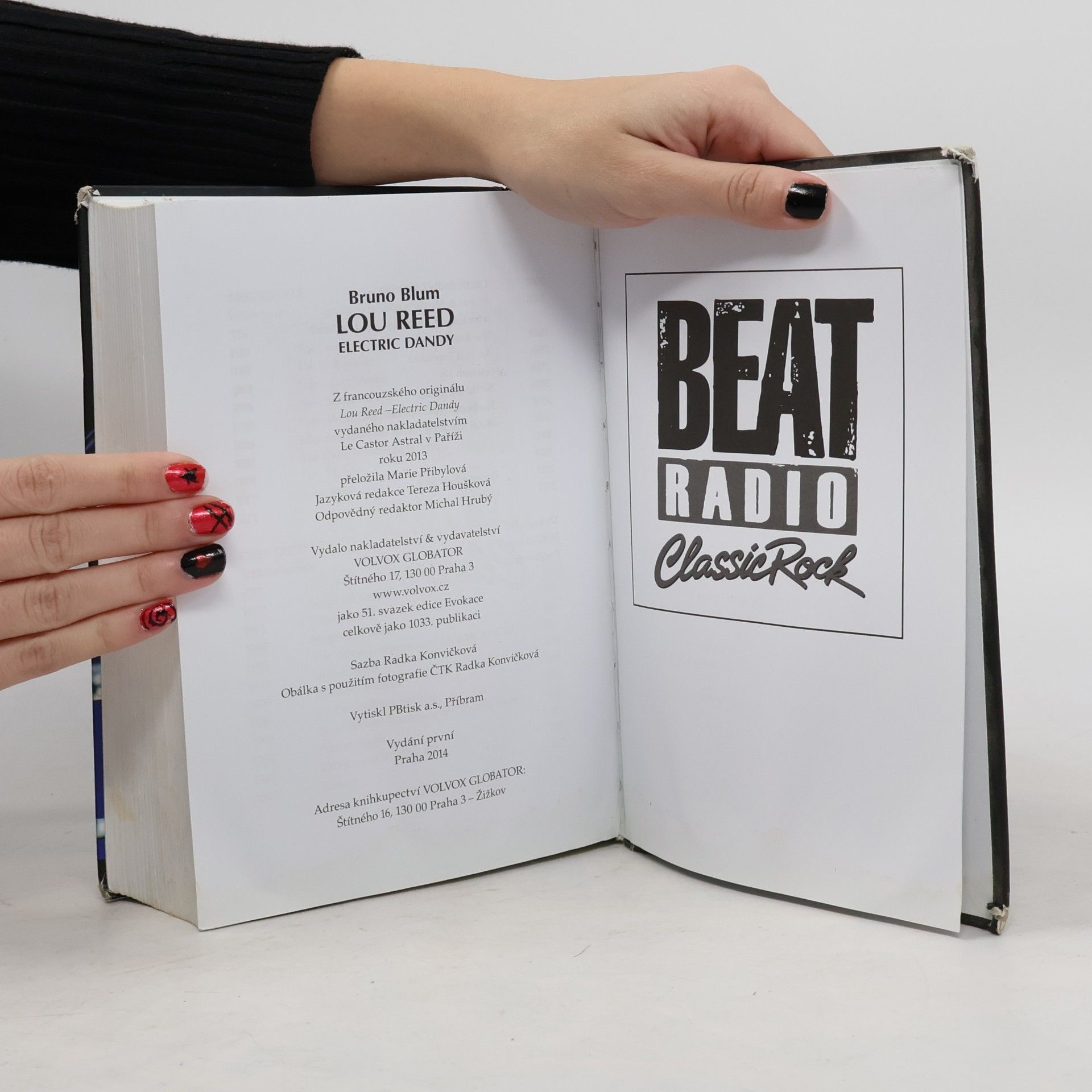 Bruno Blum Lou Reed: Electric dandy: Biografie