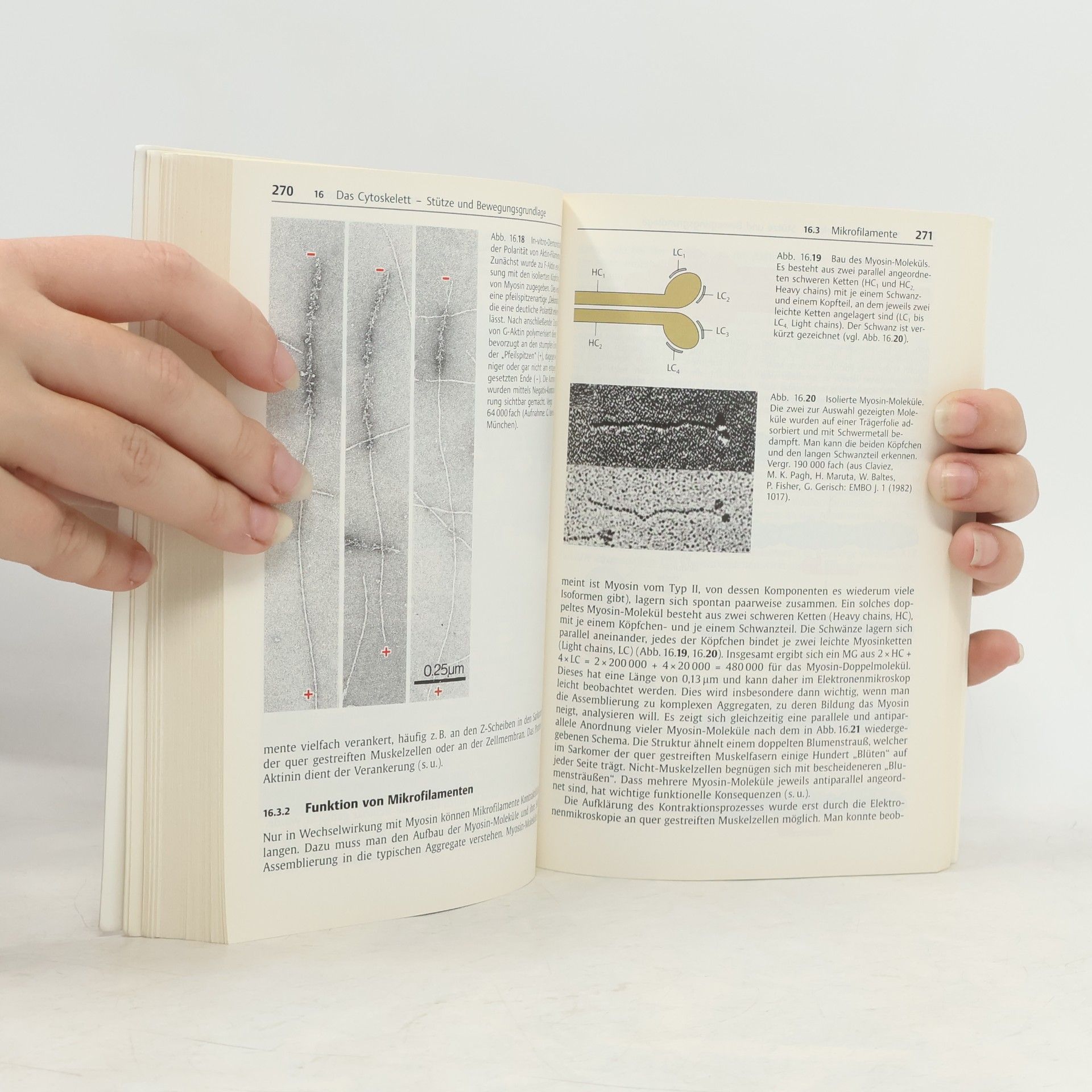 Helmut Plattner Zellbiologie