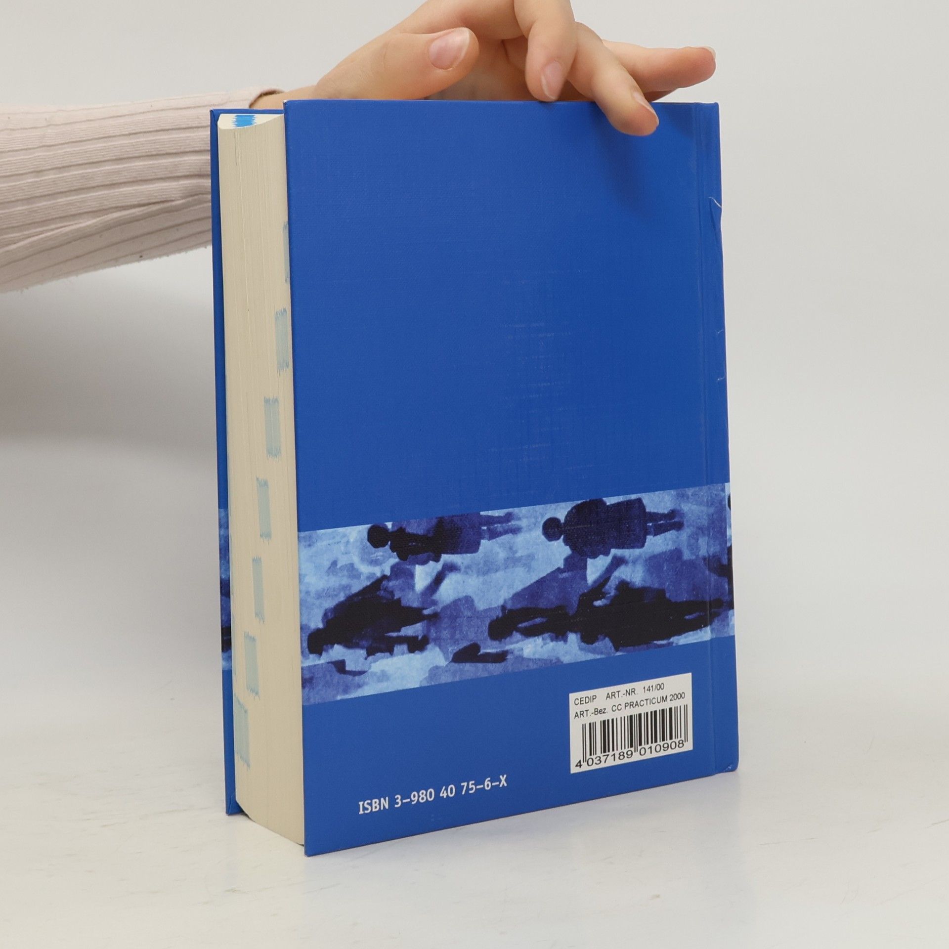 Practicum 2000. Handbuch für Diagnose und Therapie