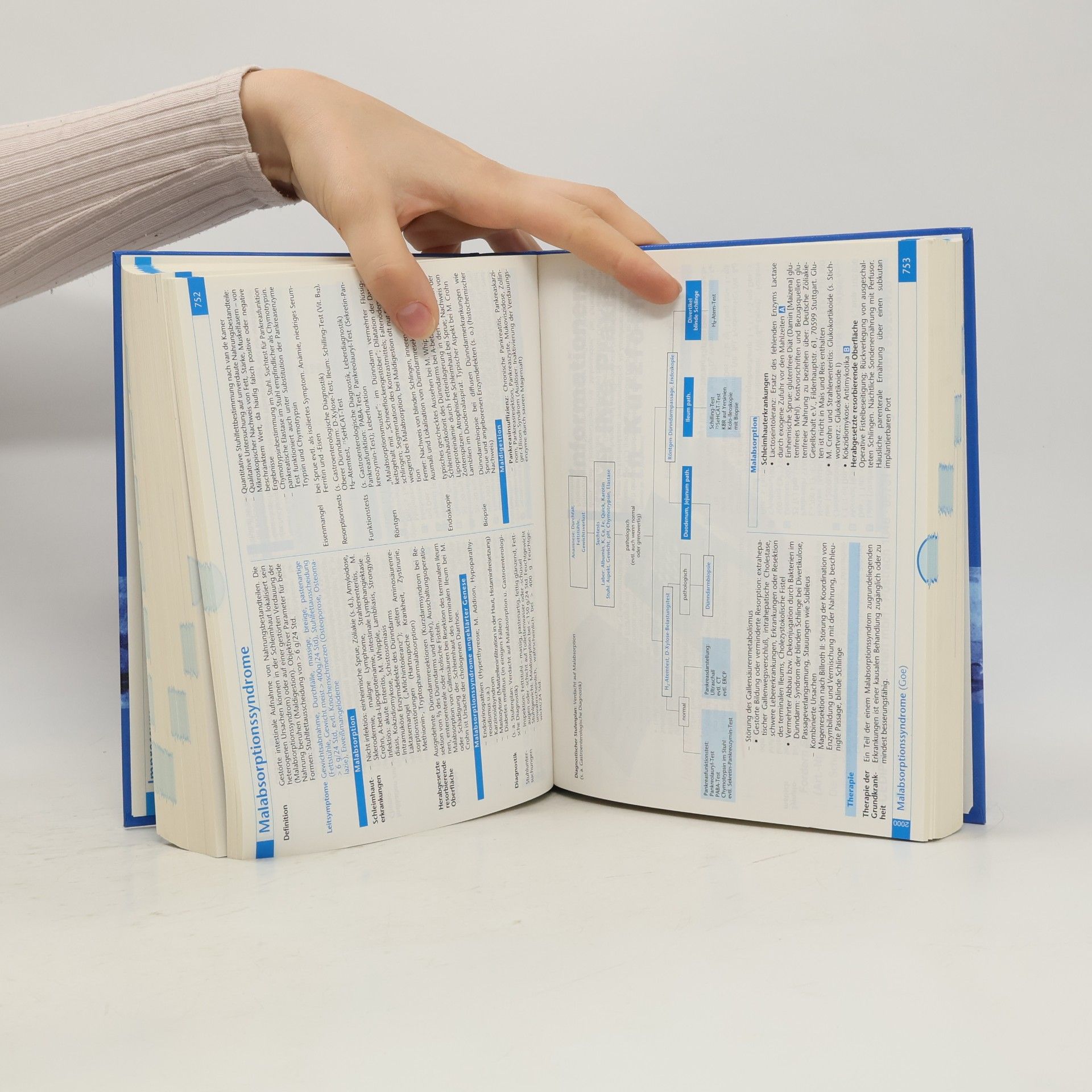 Practicum 2000. Handbuch für Diagnose und Therapie