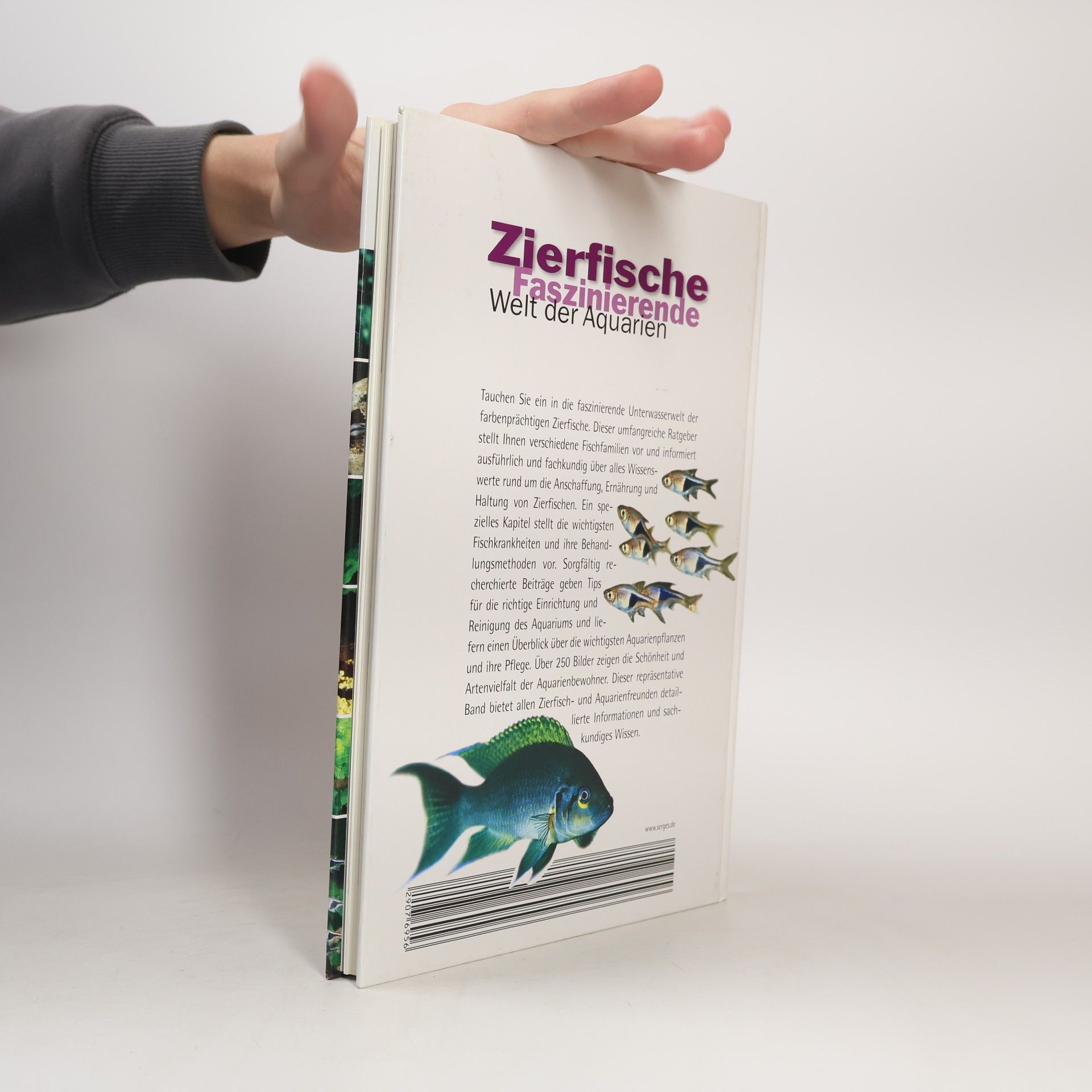 Kolektiv autorů Zierfische Faszinierende Welt der Aquarien
