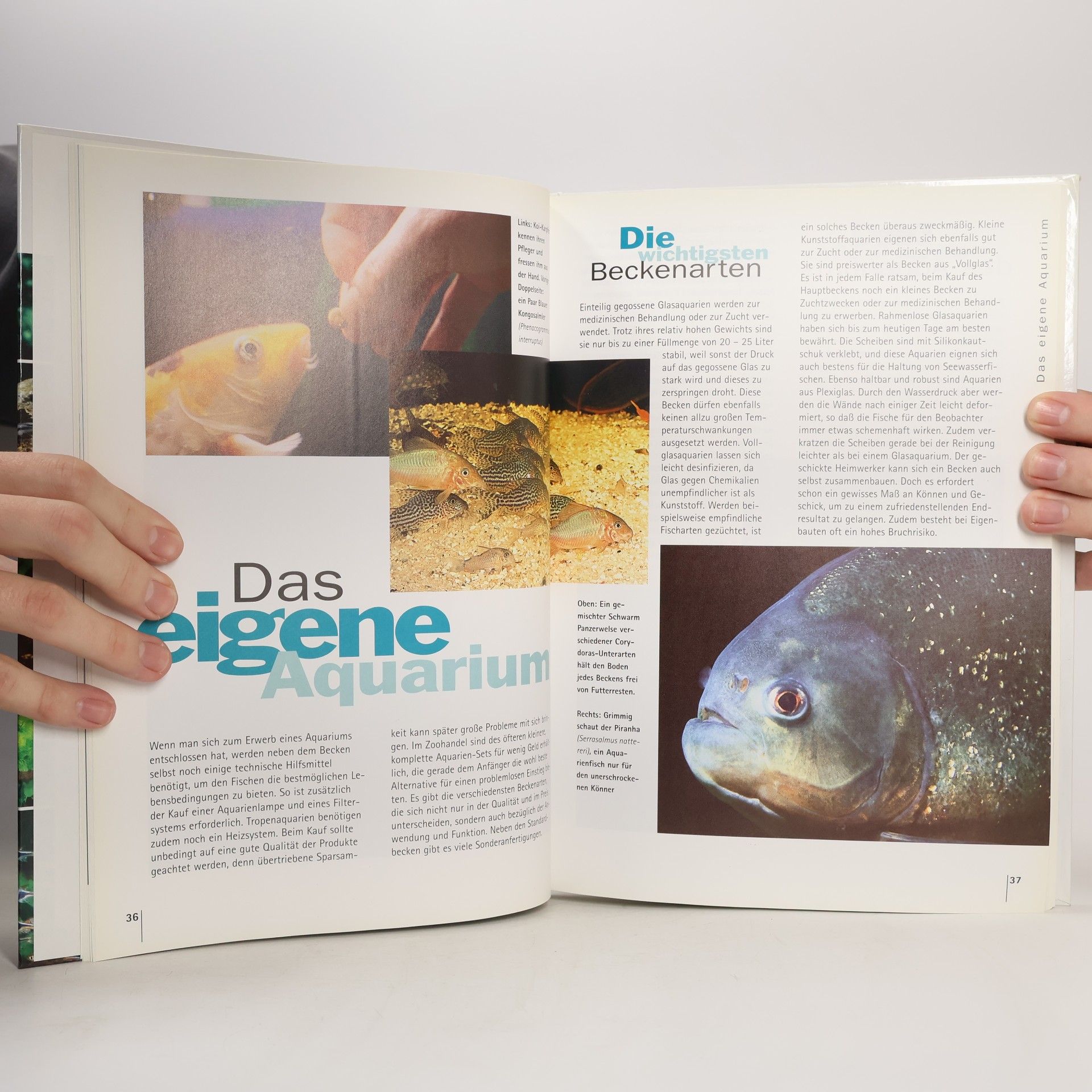Kolektiv autorů Zierfische Faszinierende Welt der Aquarien