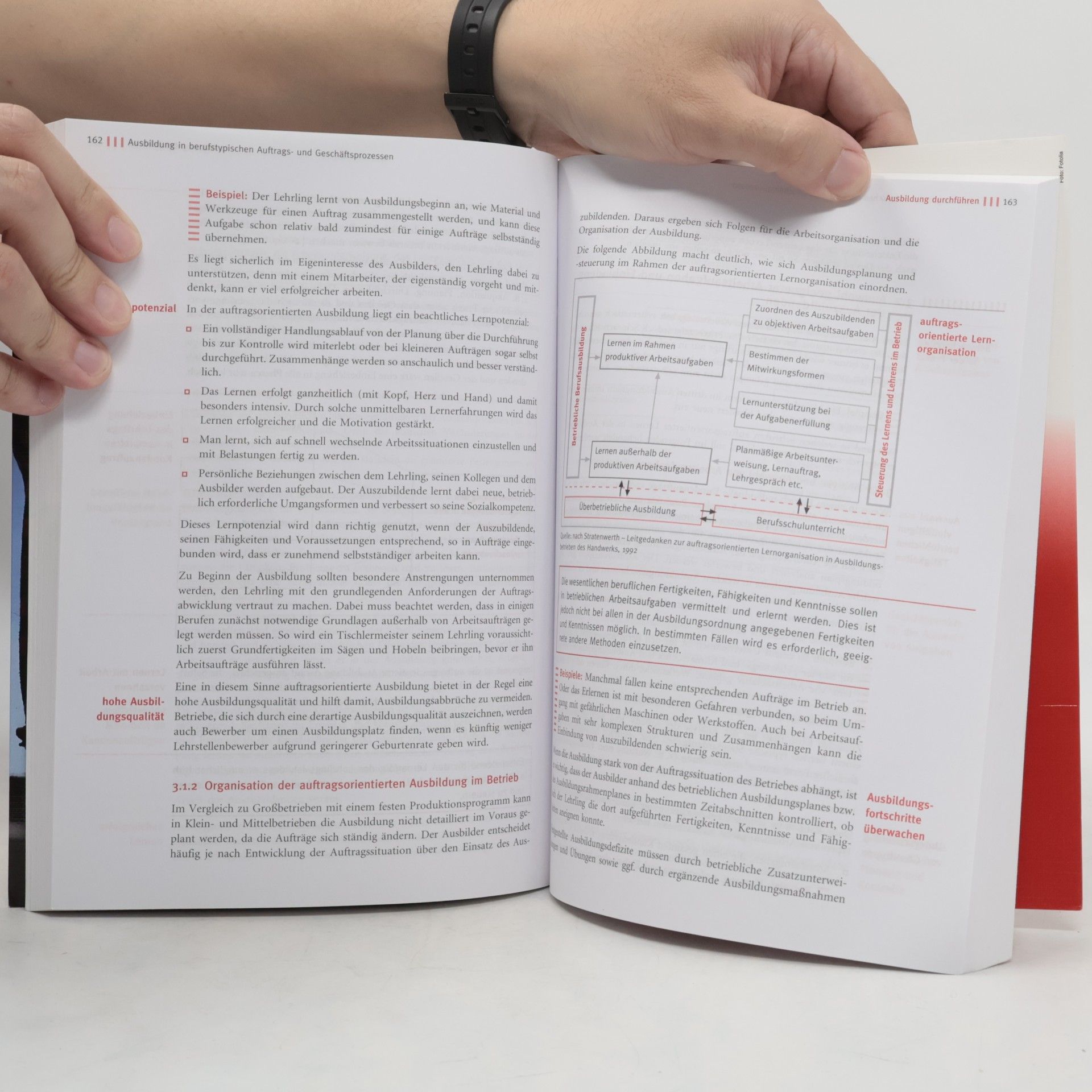 Sackmann Das Lehrbuch für die Meisterprüfung - 4: Berufs- und Arbeitspädagogik, Ausbildung der Ausbilder mit CD-ROM - 40. Auflage