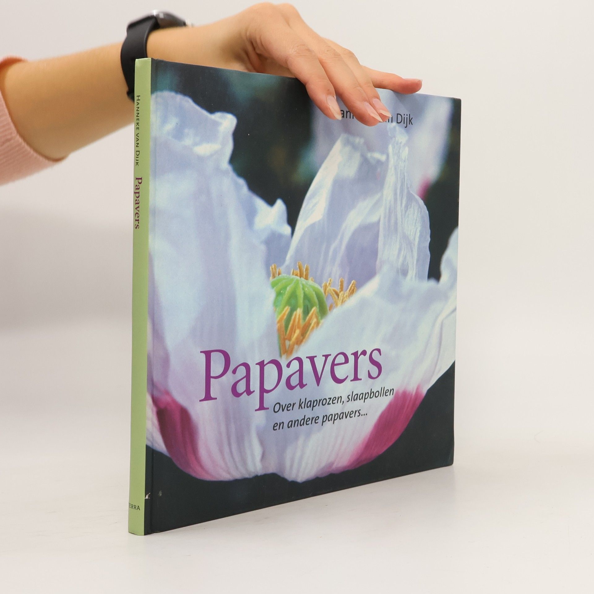 Papavers