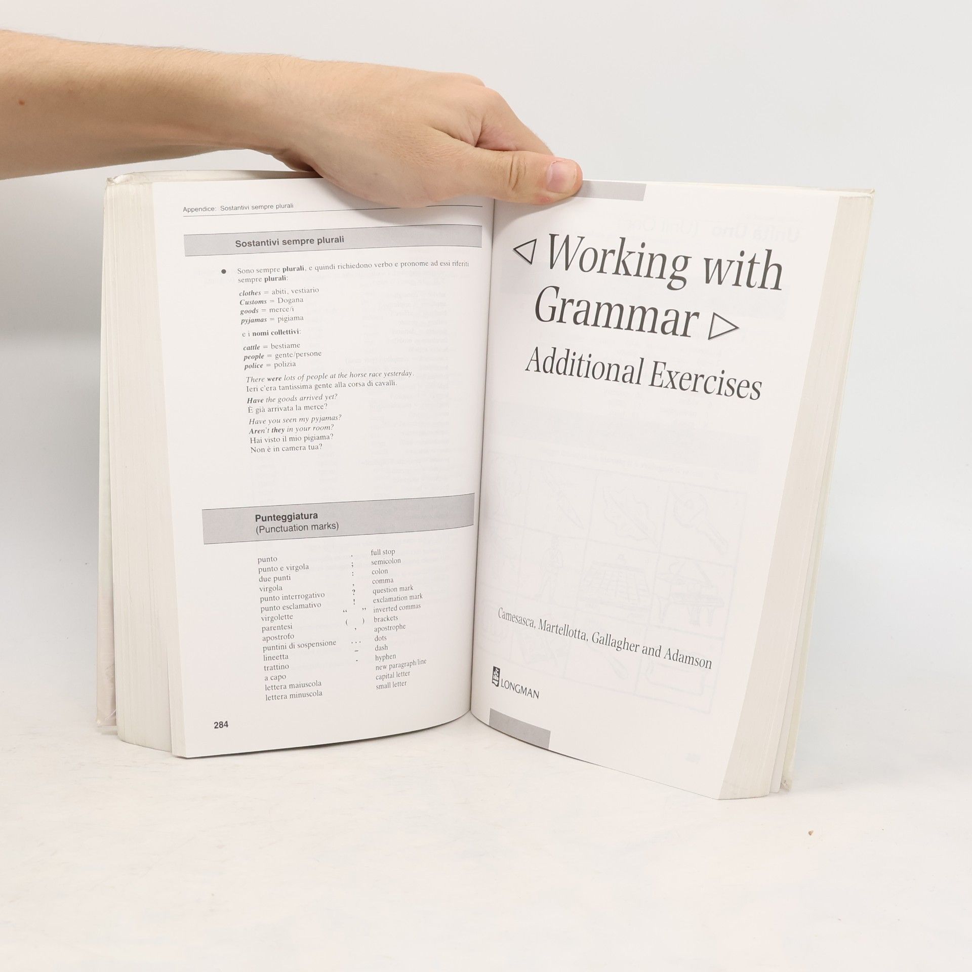 Ettore Camesasca Working With Grammar